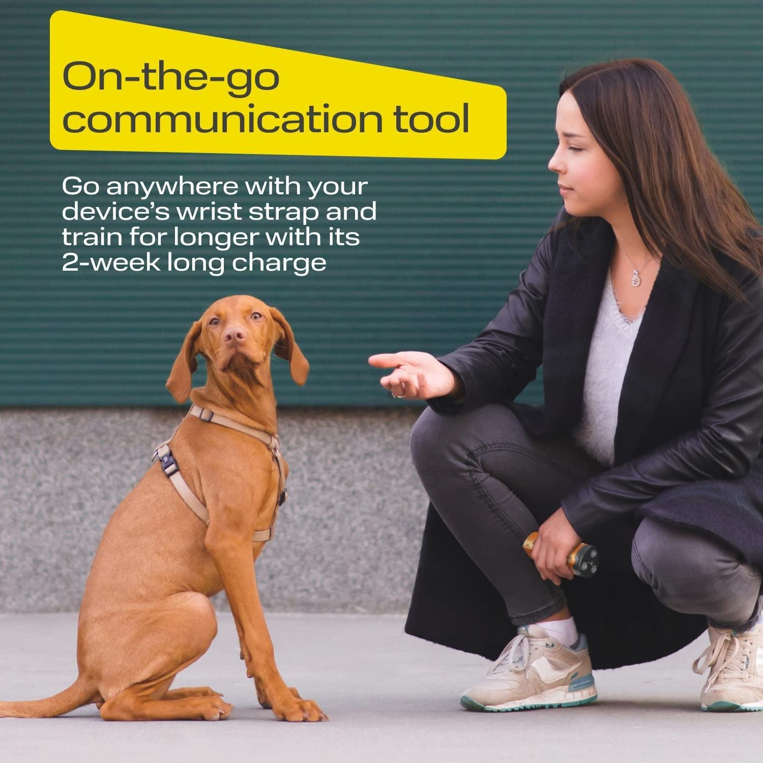 Dog Bark Deterrent Devices Rechargeable Anti-Barking Device for Dogs 34ft Long Range, to Stop Barking Neighbors Dog for Small, Medium & Large Dogs