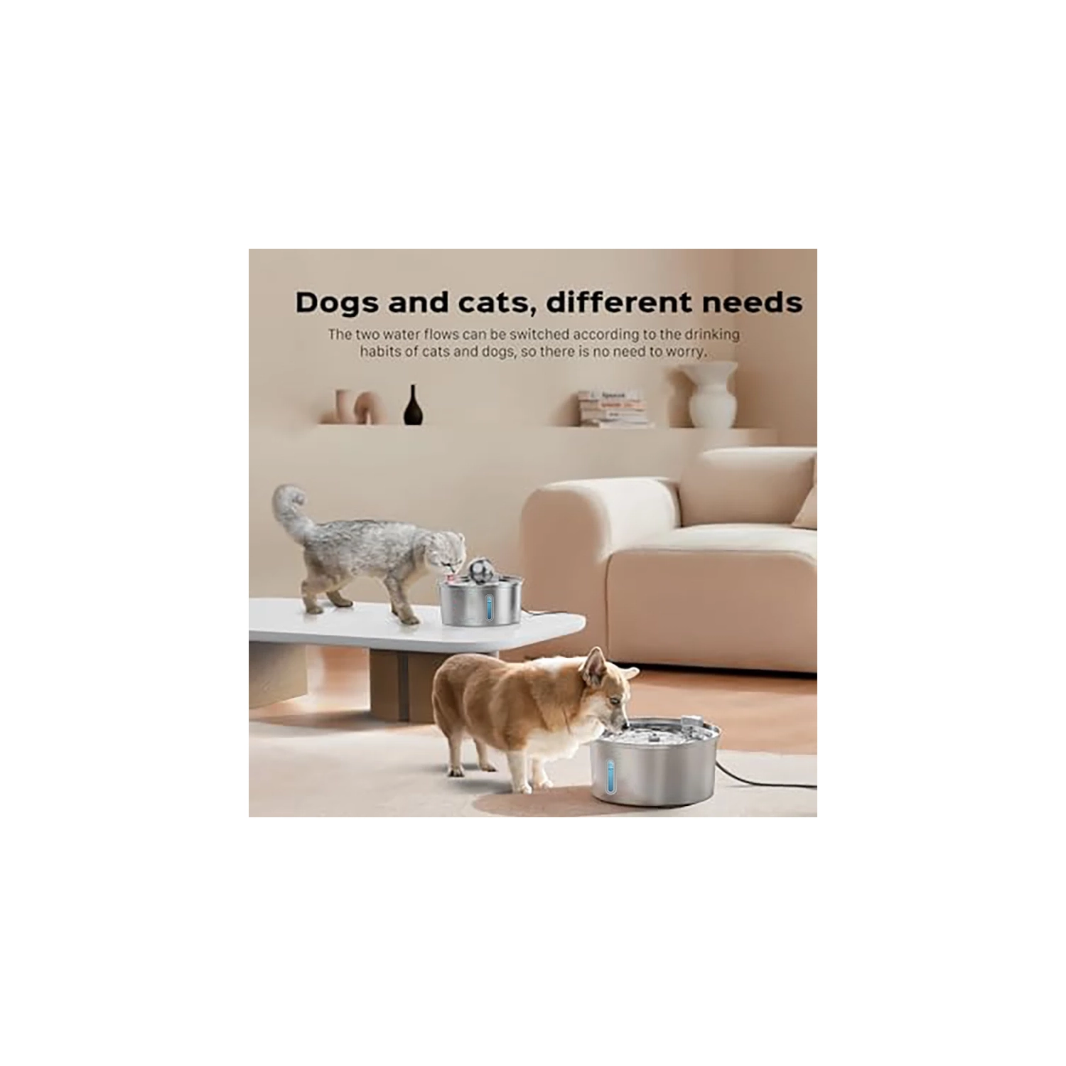 Fontaine CAT - Fontaine Cat 3,2&nbsp;L/108&nbsp;oz pour boire - Fontaine d'eau Cat en acier inoxydable grande capacité