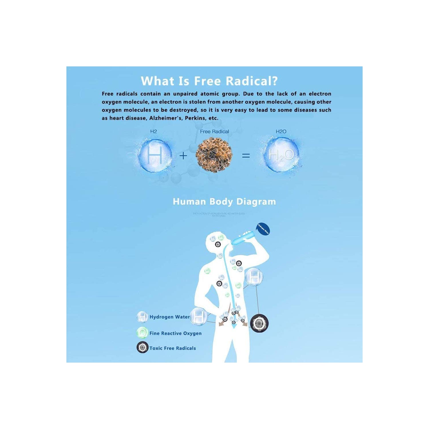 Hydrogen Rich Water Generator Bottle Water Ionizer Machine Hydrogen Water Pitcher Alkaline Water Maker