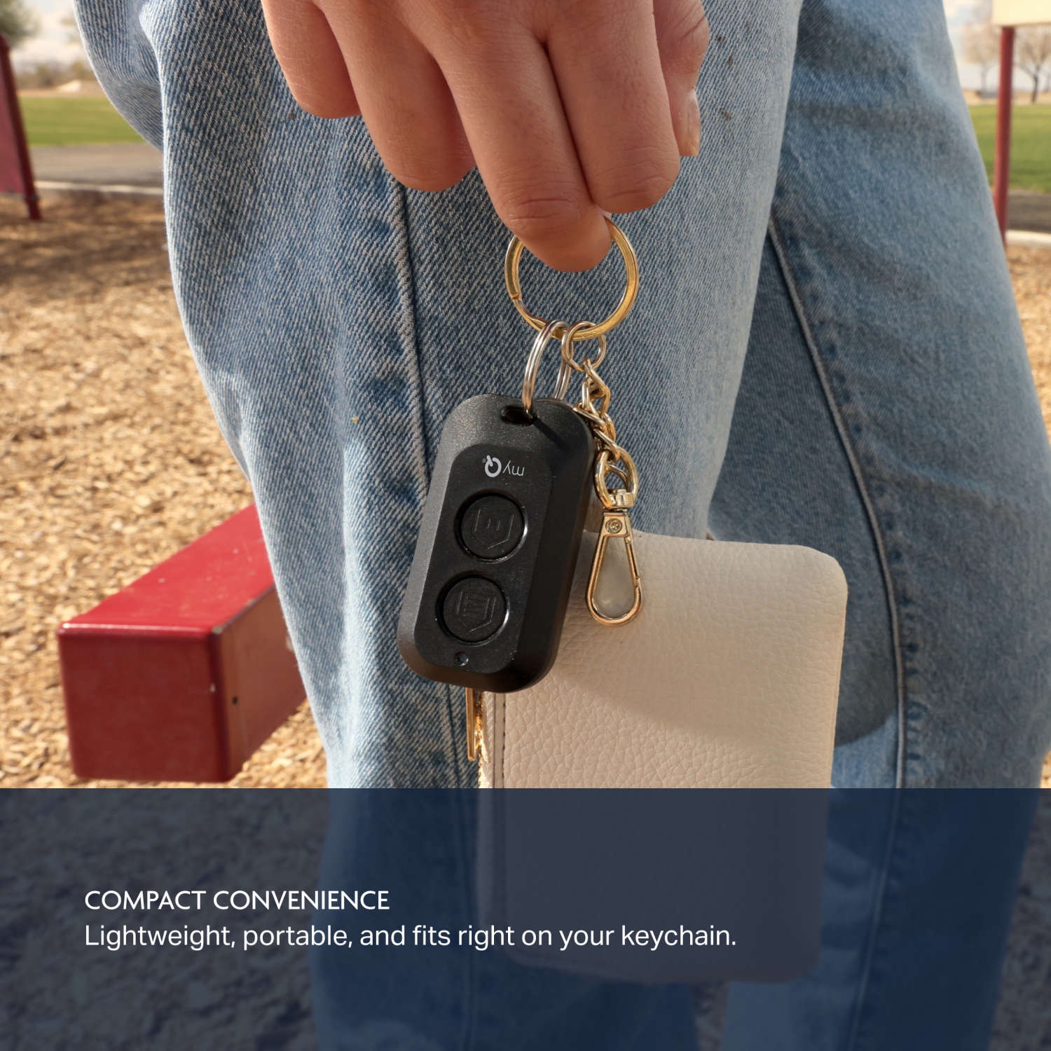 Chamberlain myQ 2-Button Keychain Garage Door Remote