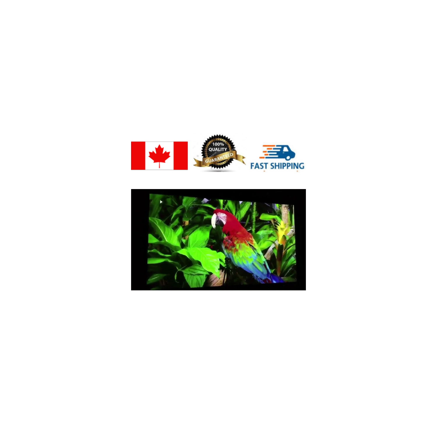 eGalaxy ® 4K/8K 135 16:9 ALR Projector Screen Fixed Frame Thin Border Fixed Frame , PSFN 135AR