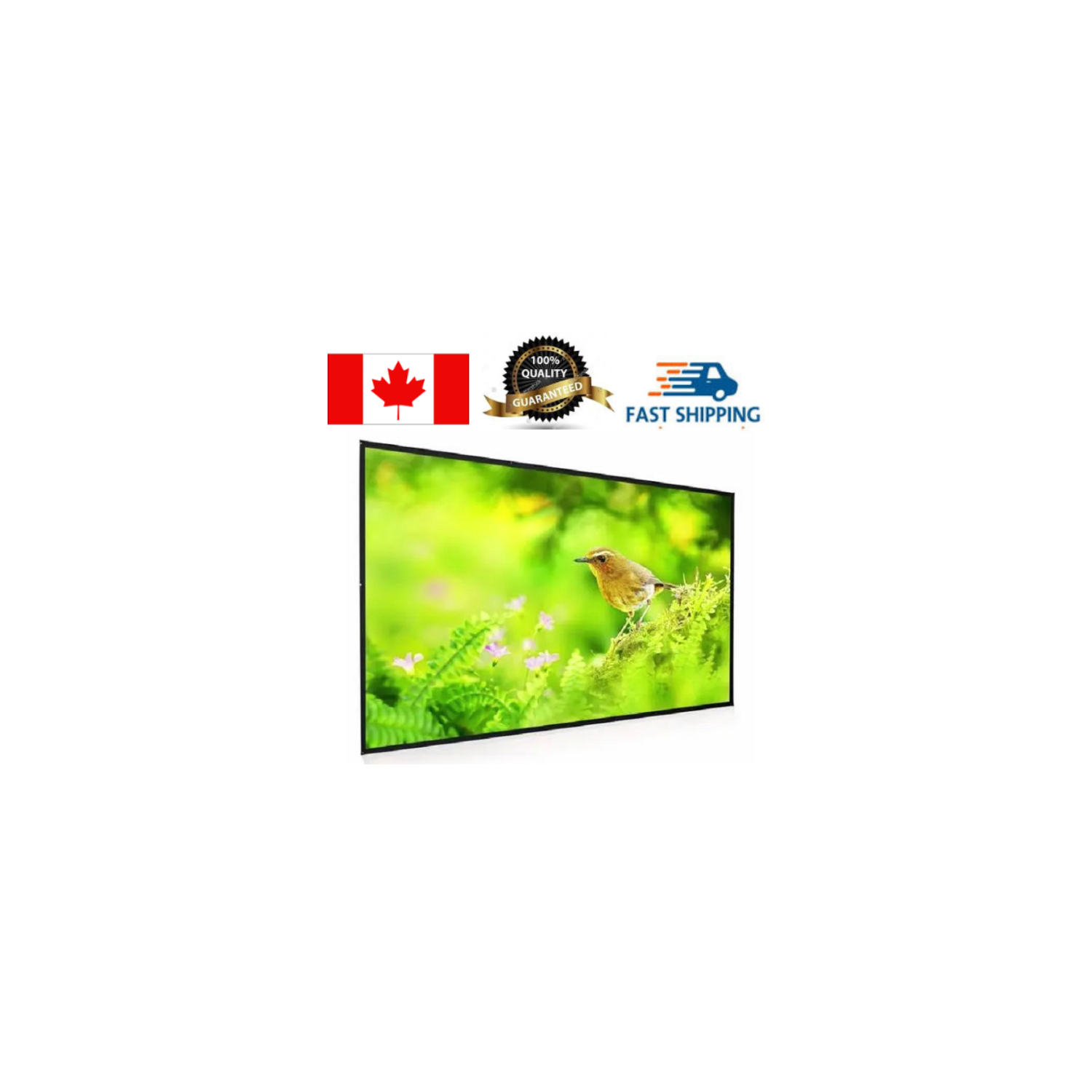 EGalaxy ® 4K/8K 120 2,35:1 Cadre fixe mince à bordure fixe PSFN 120CW pour écran de projection