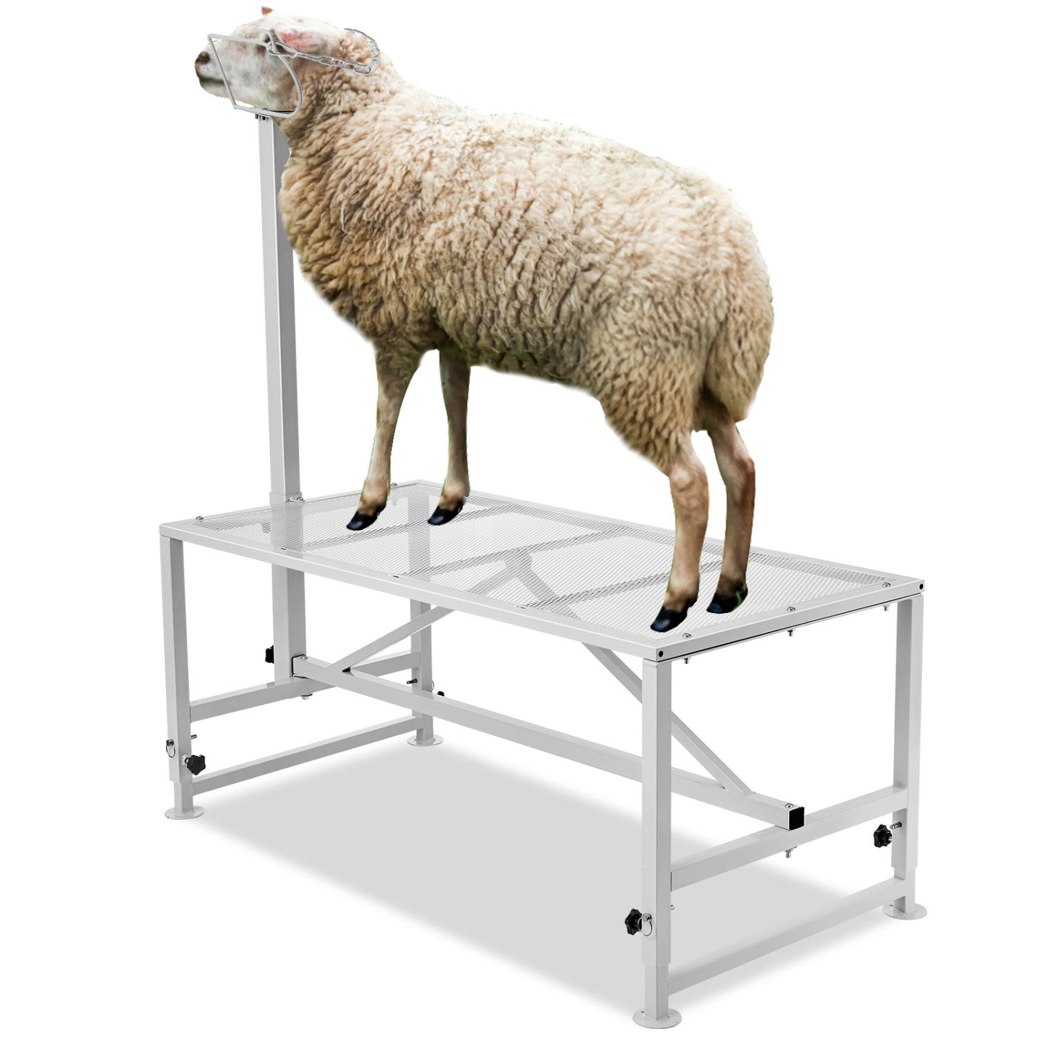 VEVOR 47x23 inch Goat & Sheep Stand, Livestock Stand, Metal Livestock Milking and Shearing Stand 21" to 33" Adjustable Height, with Headpiece and