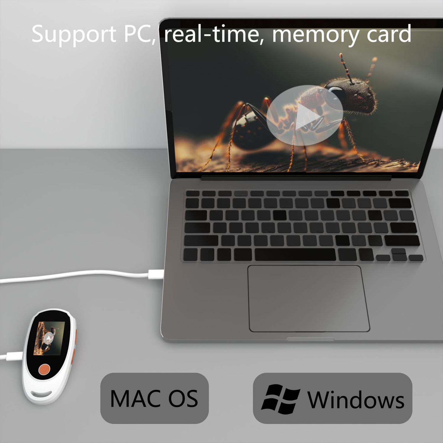 Microscope numérique portatif HD de 2 pouces | 600&nbsp;mAh rechargeable | Lampe d'appoint 8 LED | Convient à la lecture/réparation