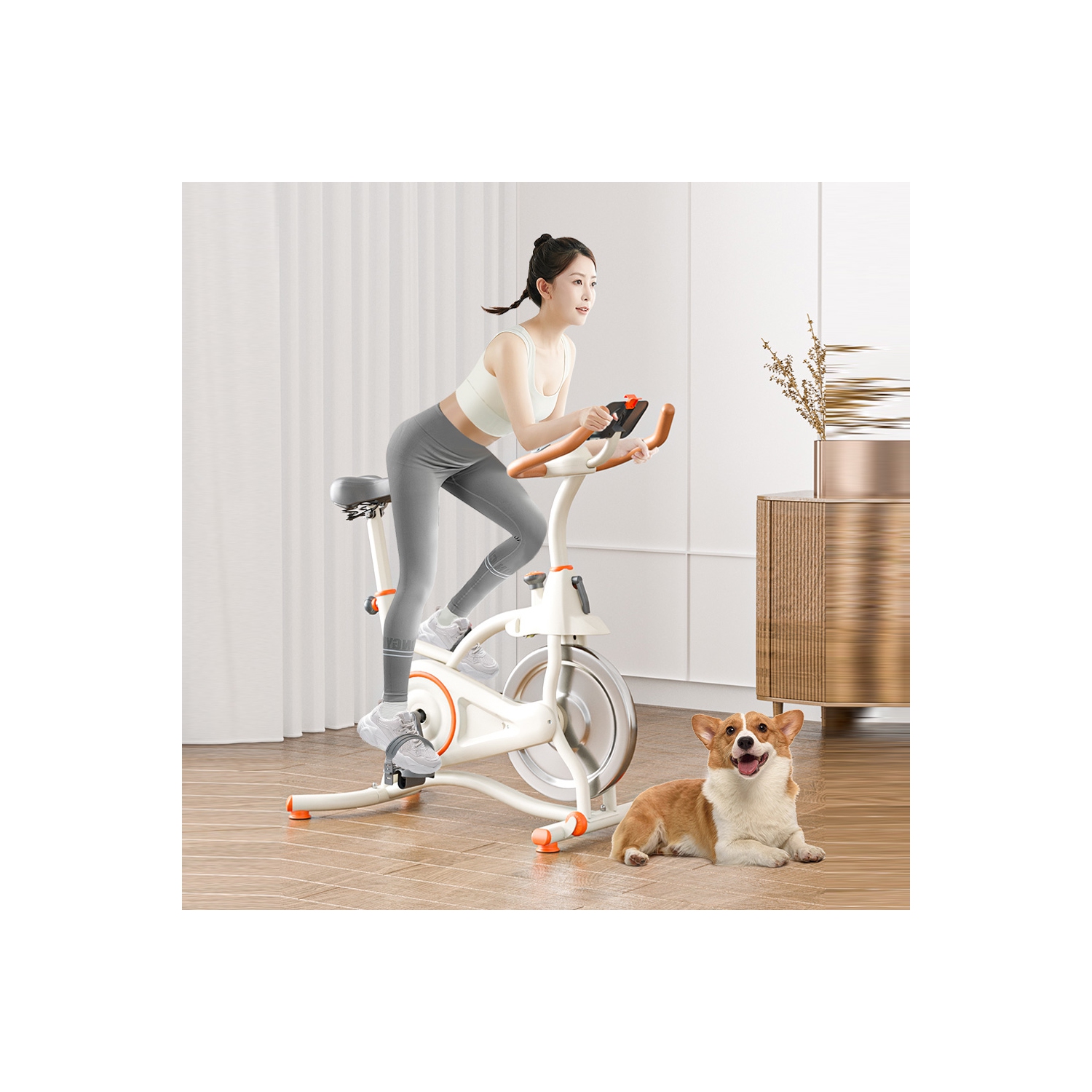 axGear Indoor Cardio Workout Bike Stationary Cycling Fitness Home Exercise Gym