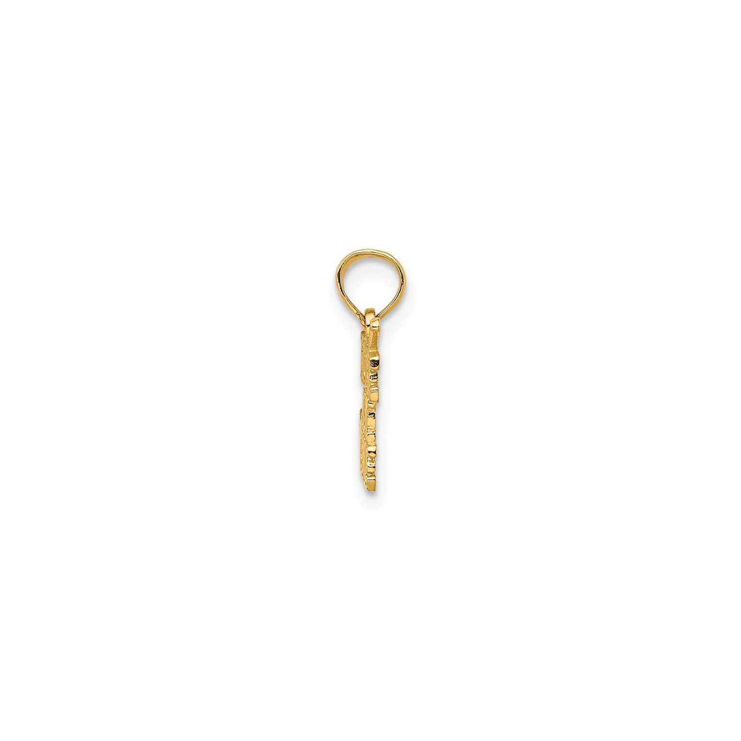 14K Yellow Gold Polished HOLE IN ONE Charm Pendant