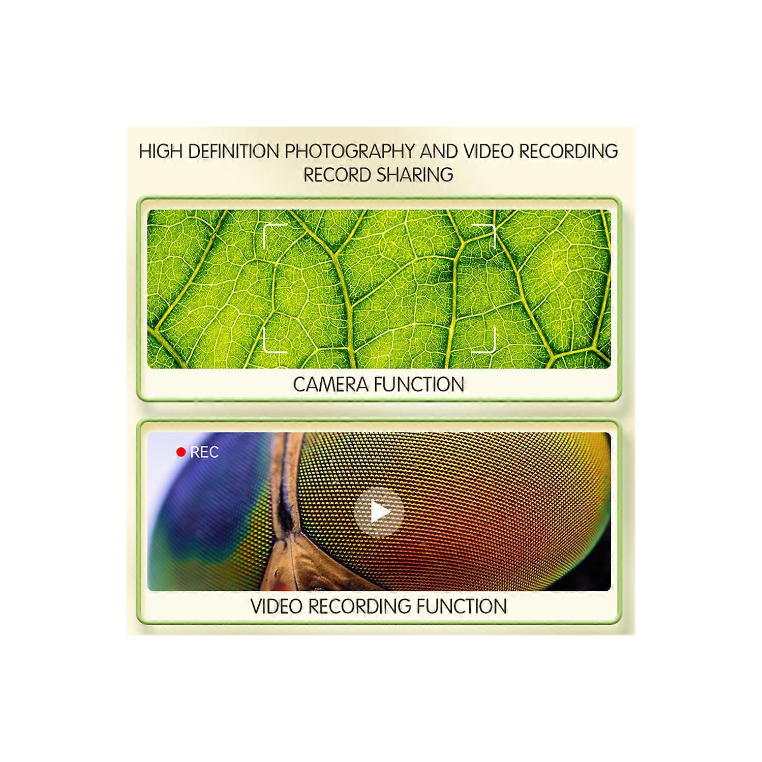 Microscope portatif HD 1000x – Écran IPS de 2&nbsp;po/gradation 8LED/observation en temps réel par ordinateur Outil d'exploration scientifique pour