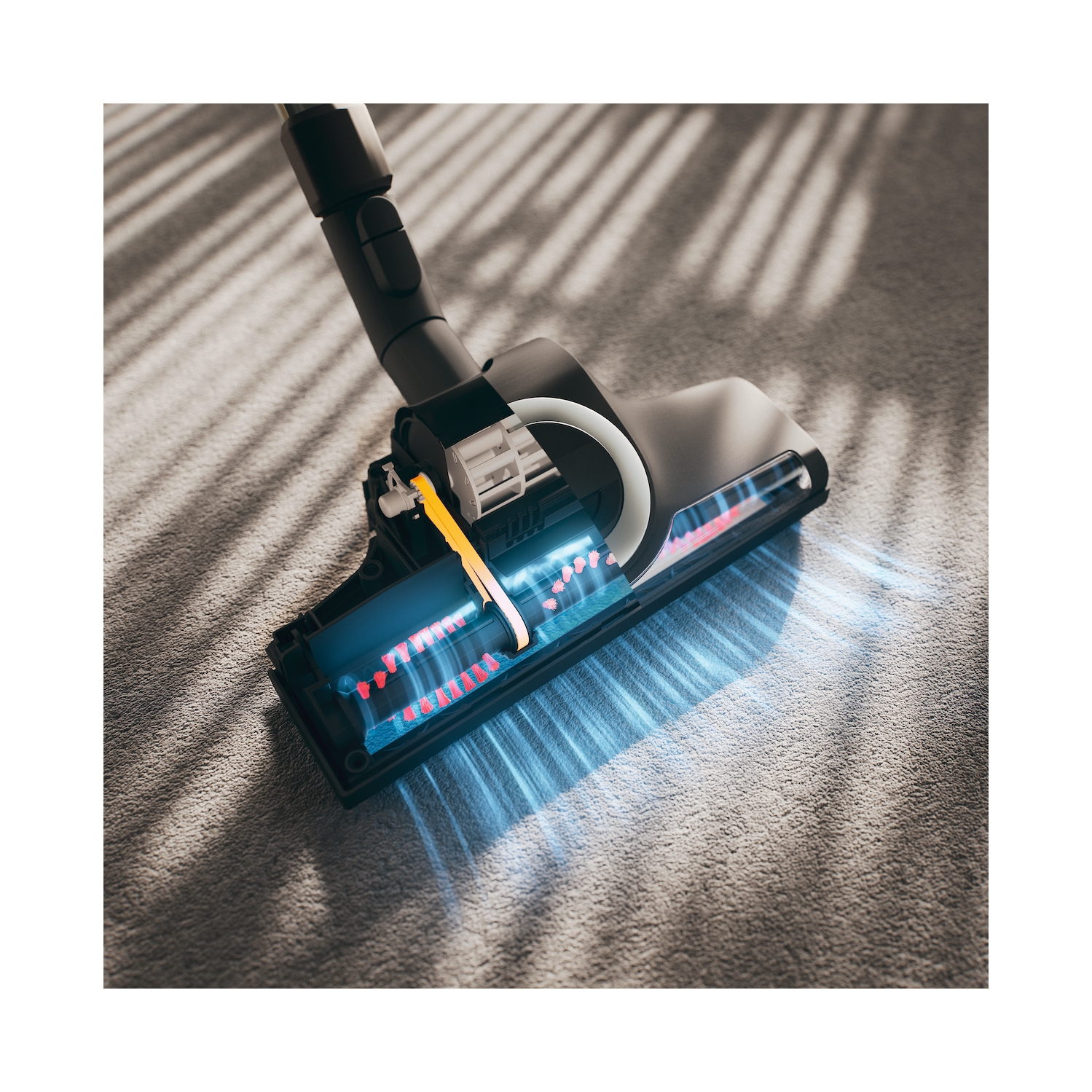 Open Box - Miele Boost CX1 Cat & Dog