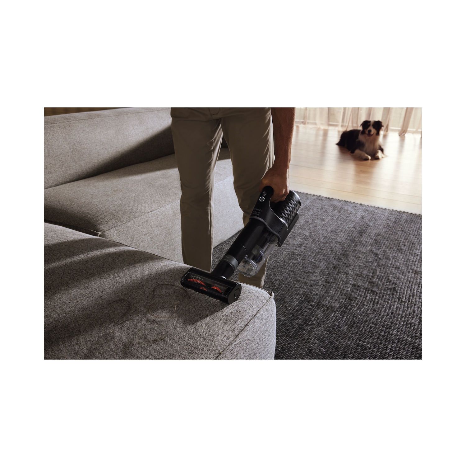 Boîte ouverte - Duoflex HX1 Cat & Dog de Miele