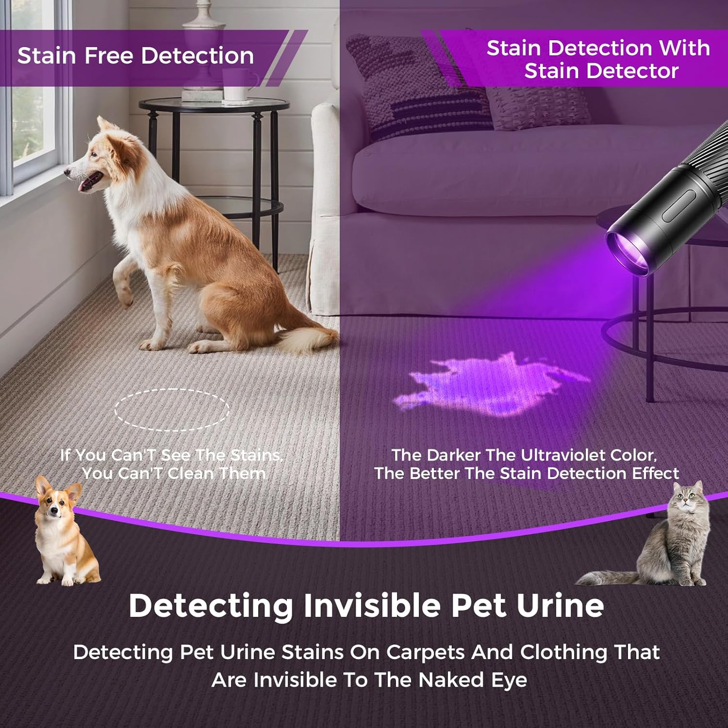 Lampe de poche UV lumière noire, lumière UV noire 395&nbsp;nm ultraviolette, lampe de poche UV rechargeable USB-C pour détecteur d'urine d'animaux,