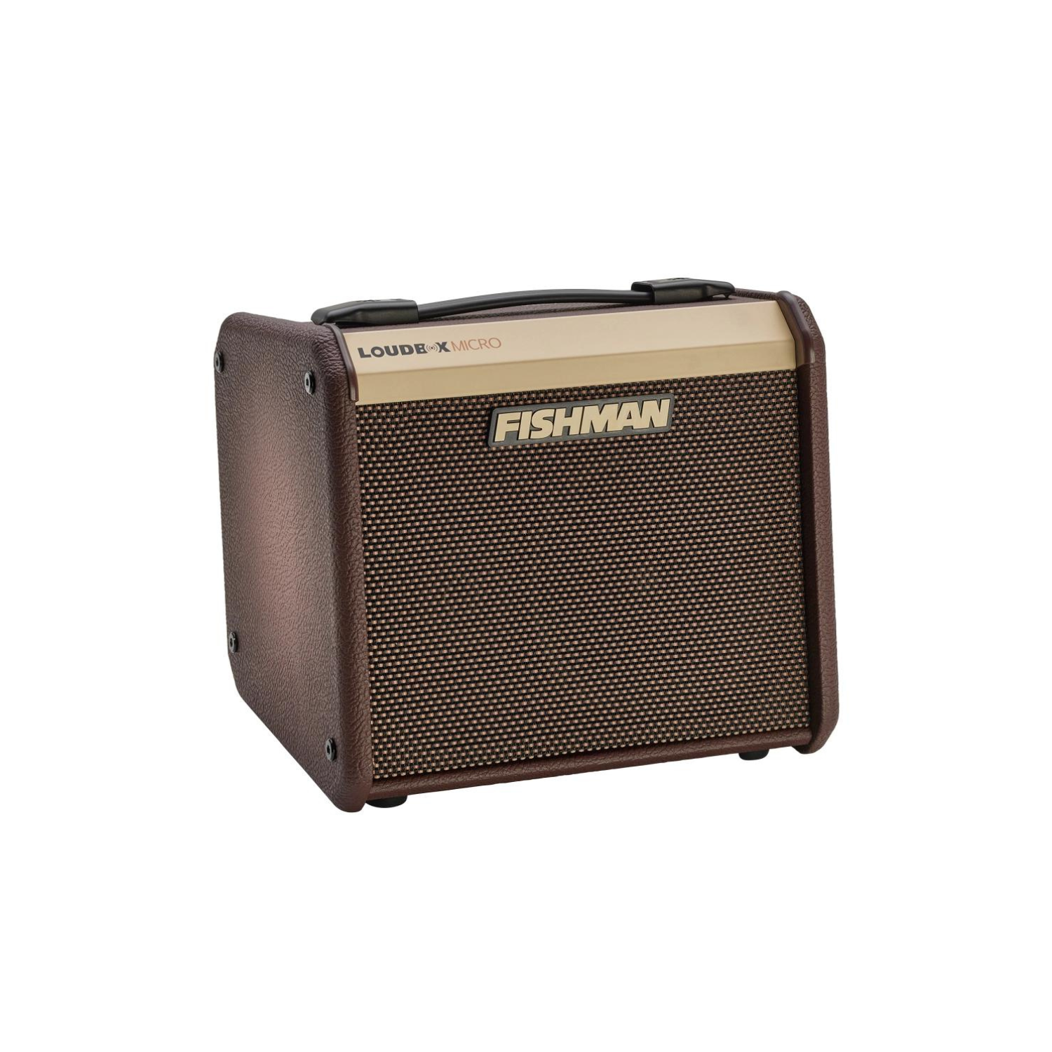 Fishman PRO-LBT-400 Loudbox Micro - 40 watts