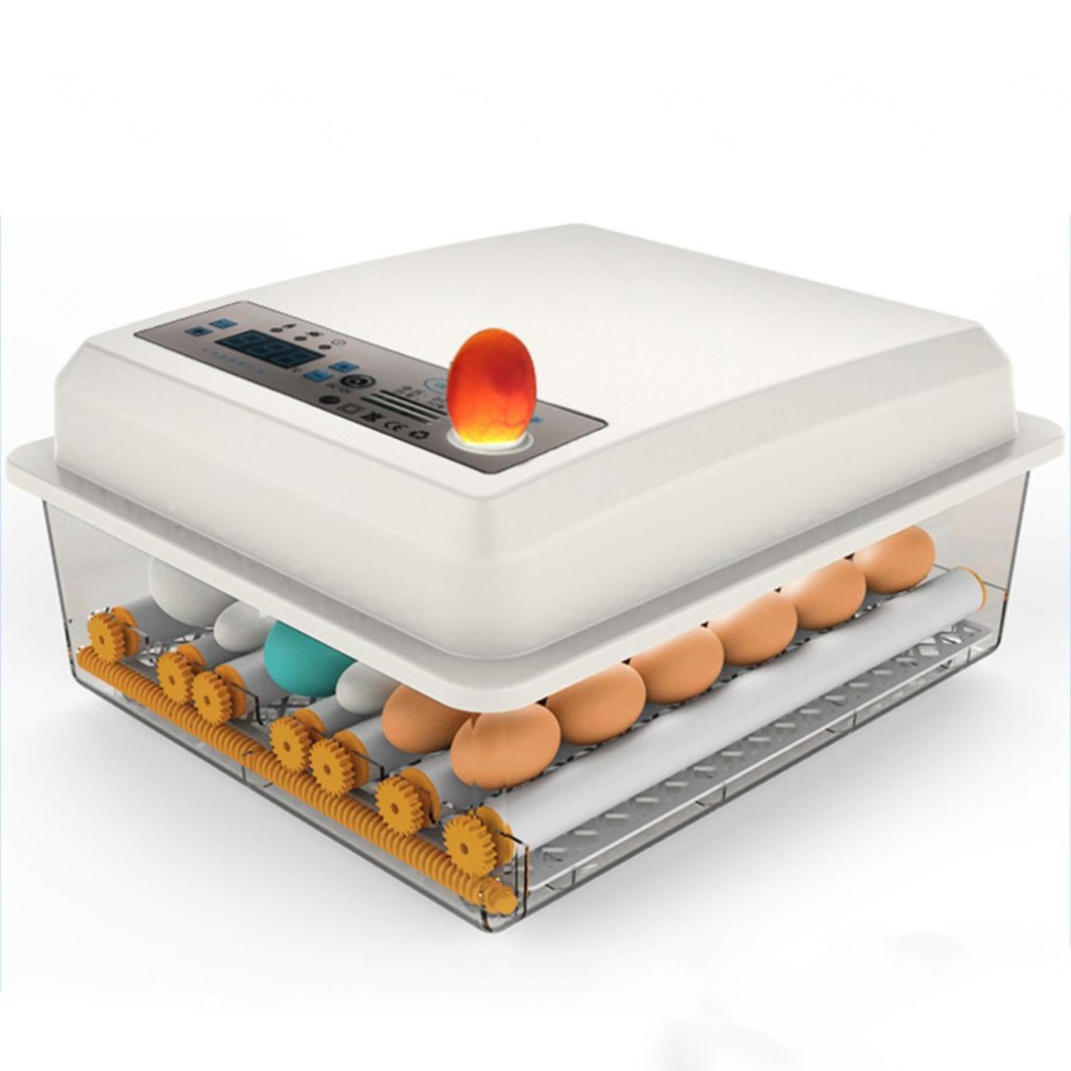 Hachoir pour oeufs d'incubateur pour 30 oeufs, Incubateur entièrement automatique et numérique pour les incubateurs de poulet à la volaille pour