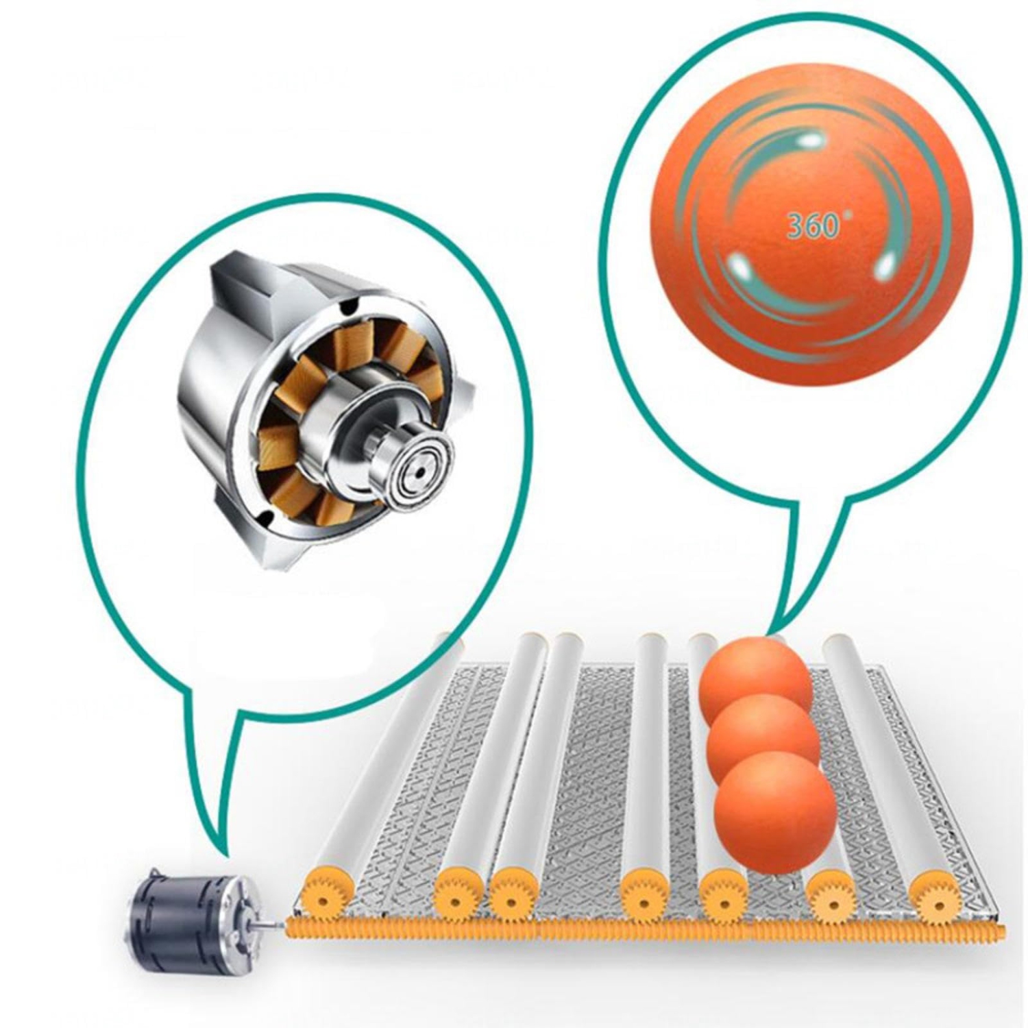 Hachoir pour oeufs d'incubateur pour 30 oeufs, Incubateur entièrement automatique et numérique pour les incubateurs de poulet à la volaille pour