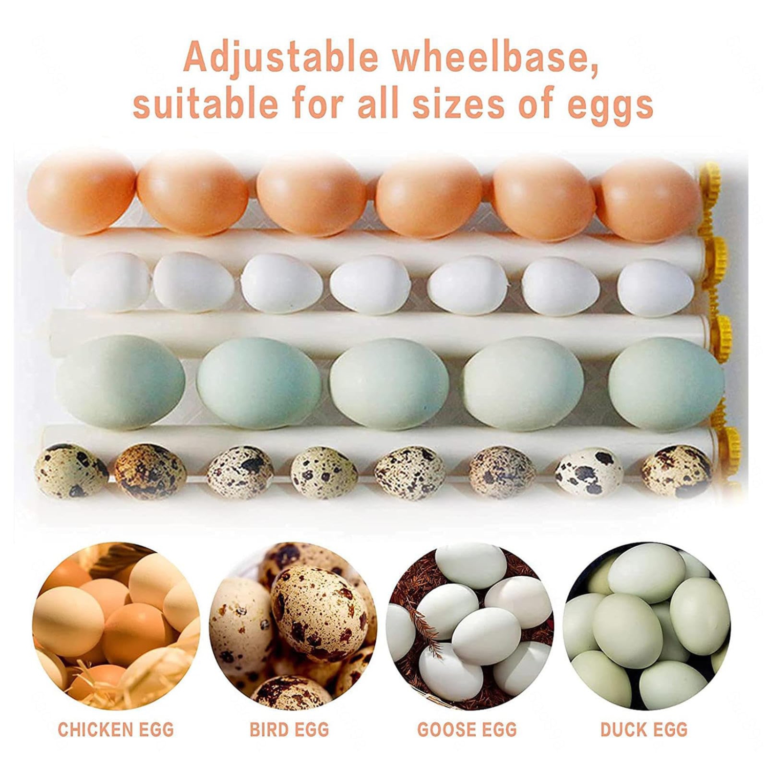 Hachoir pour oeufs d'incubateur pour 30 oeufs, Incubateur entièrement automatique et numérique pour les incubateurs de poulet à la volaille pour