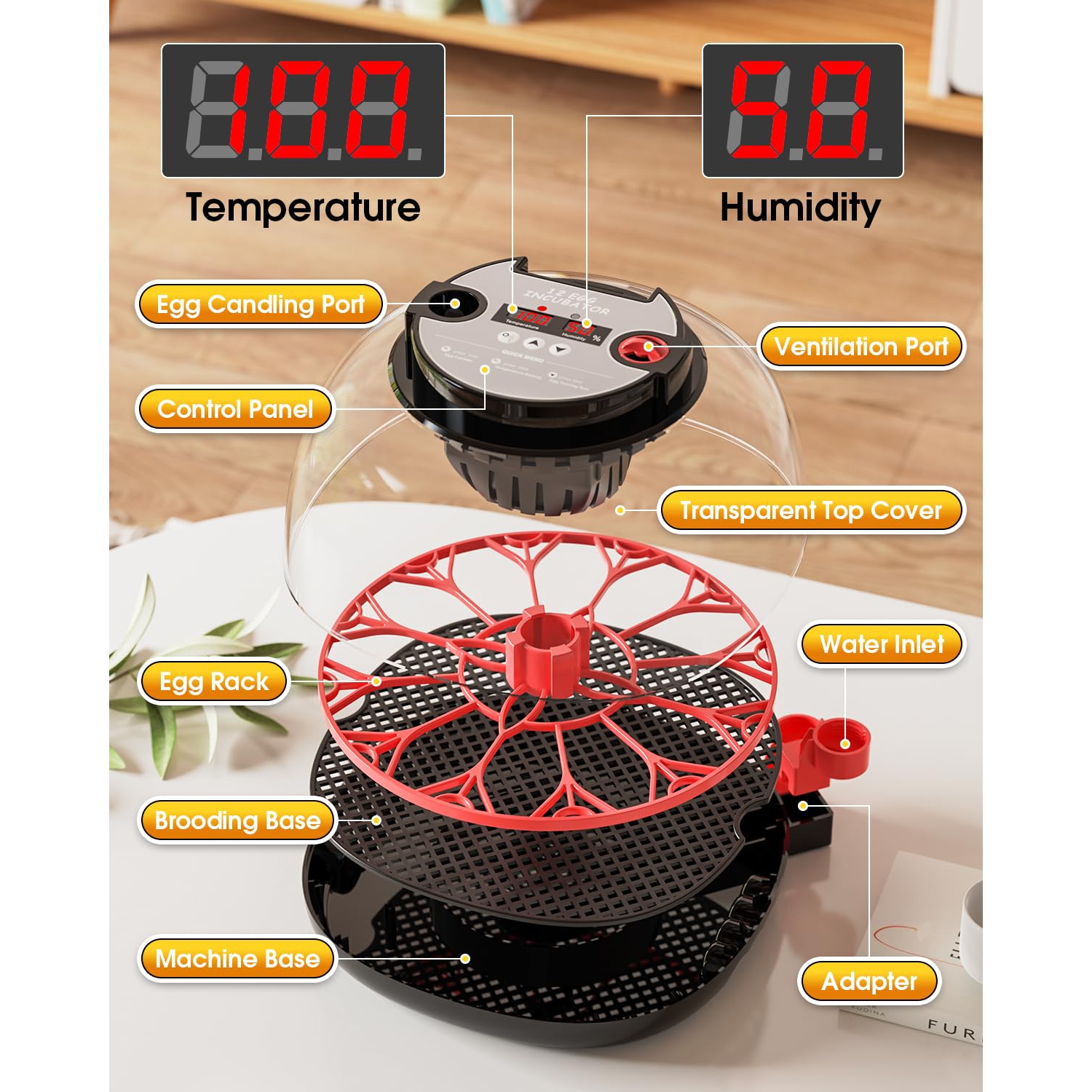 Incubators for Hatching Eggs,12 Egg Incubator with Automatic Egg Turning and Humidity Control,360° Viewing for Chicken,Quail Eggs