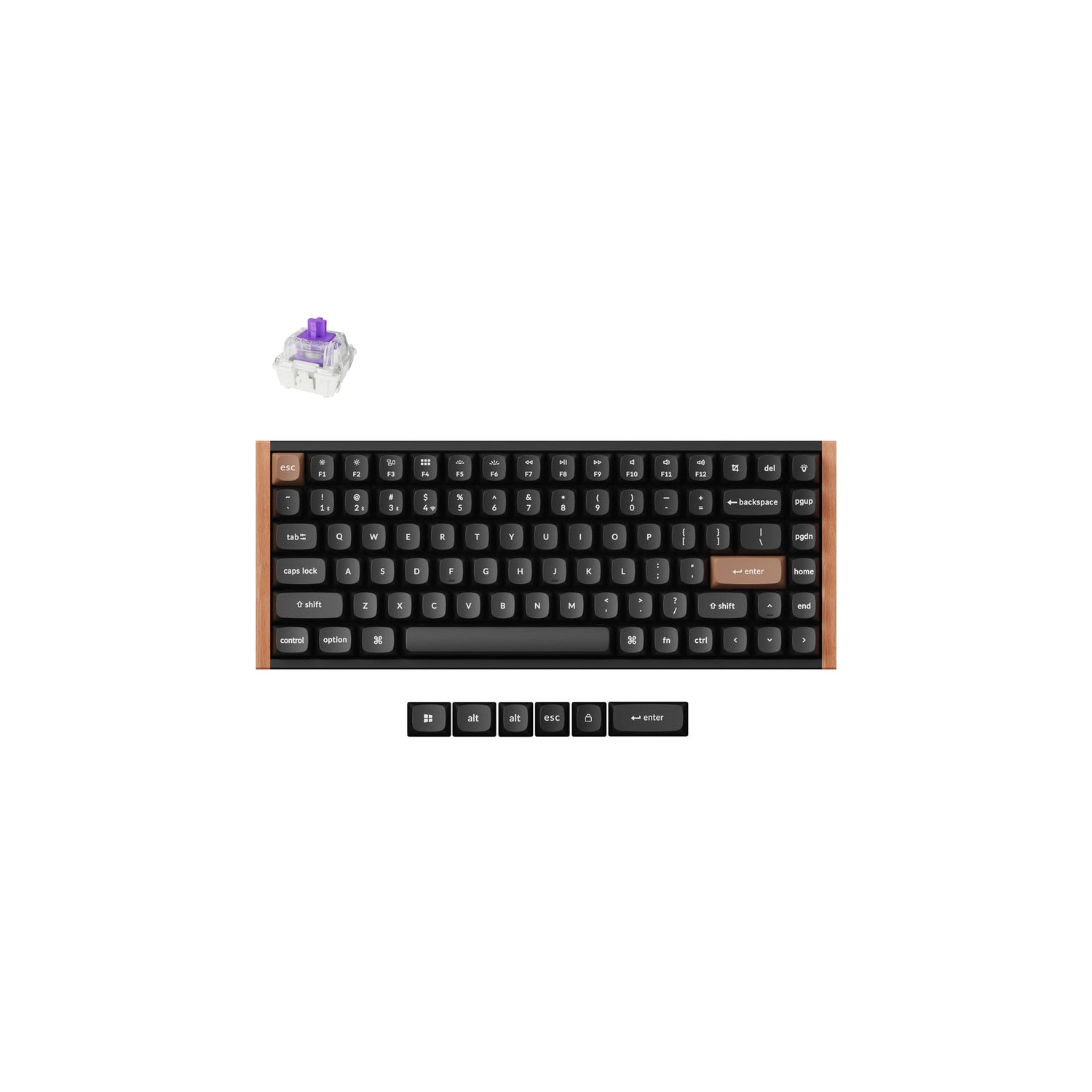 Keychron K2 HE Wireless RGB Mechanical Keyboard for Gaming - 75% Compact Layout, Customizable Switches, Fast 1000Hz Polling, for Windows & macOS Black