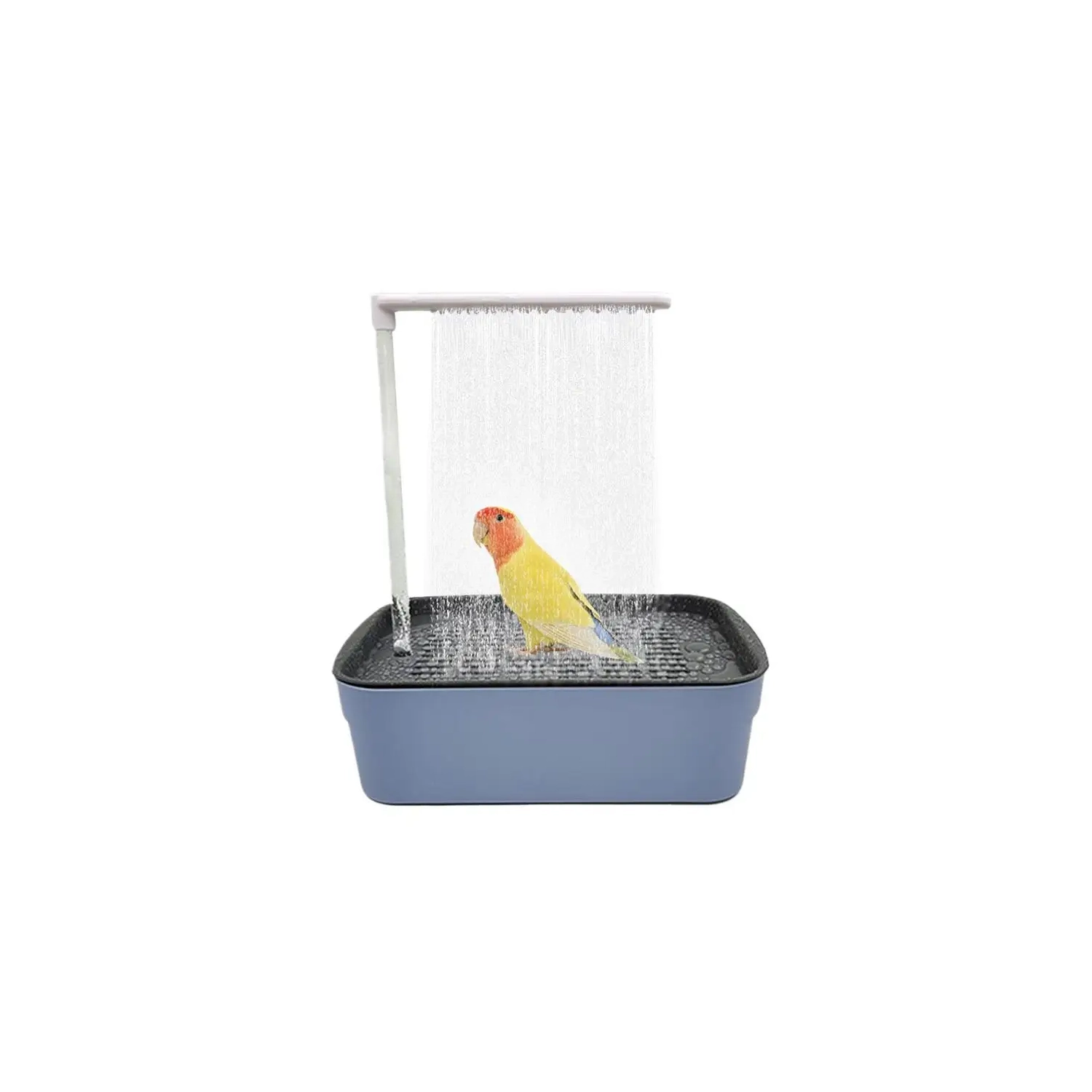 Curated visual reference: Picture Idea: Parrot Bathtub Automatic Bird Bath For Cage Parrot Bath With