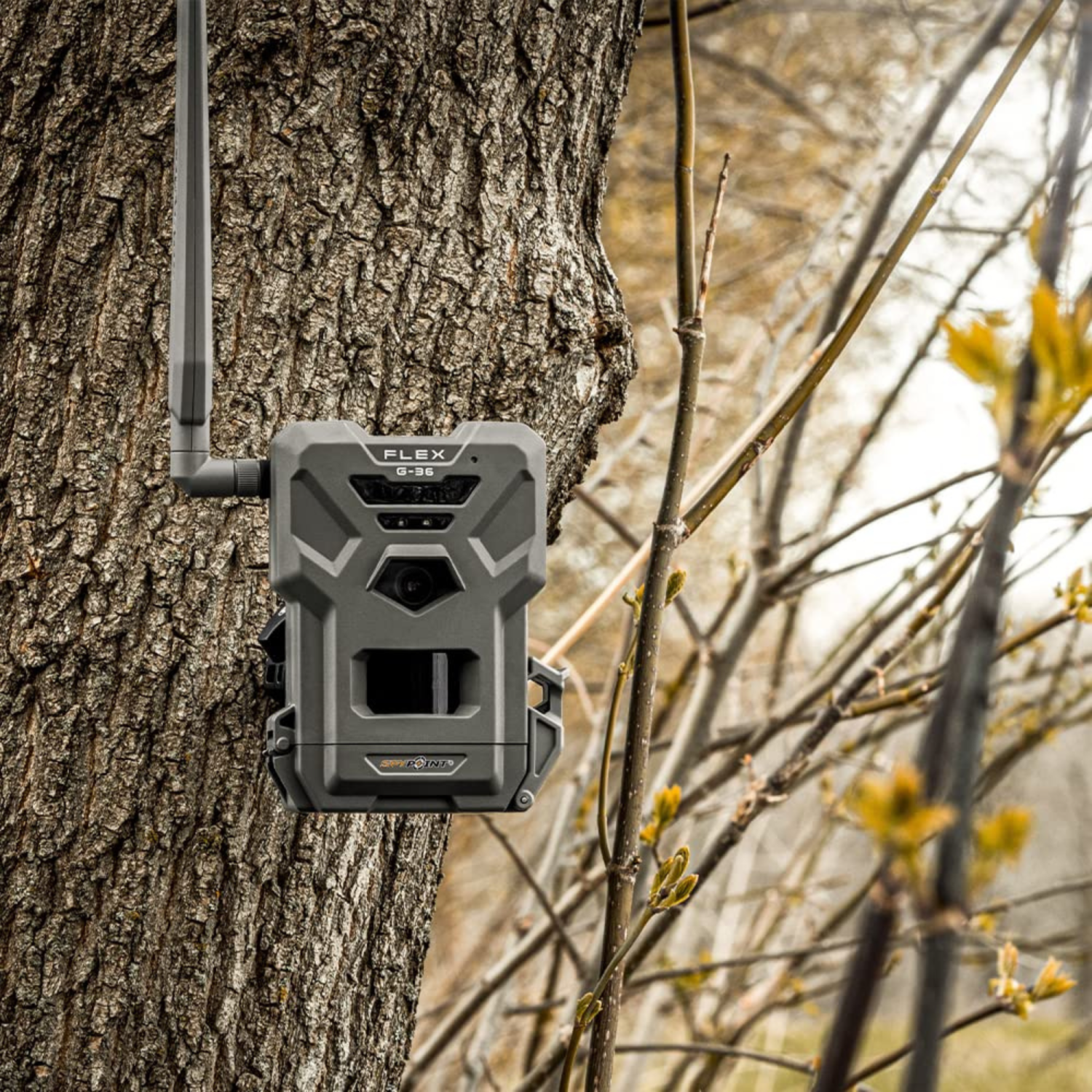 SPYPOINT Flex G-36 Twin Pack Cellular Trail Cameras – 36MP Photos, 1080p Video w/ Sound, GPS, LTE, 100ft Flash & Detection, Responsive 0.3s Trigger