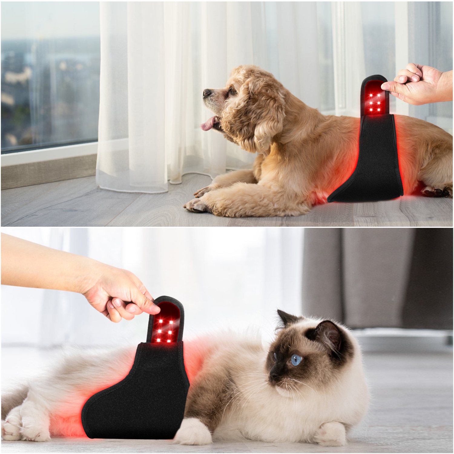 Red Infrared Light Therapy Belt for Pets Pain Relief for Dogs Relieve Joint & Back Pain
