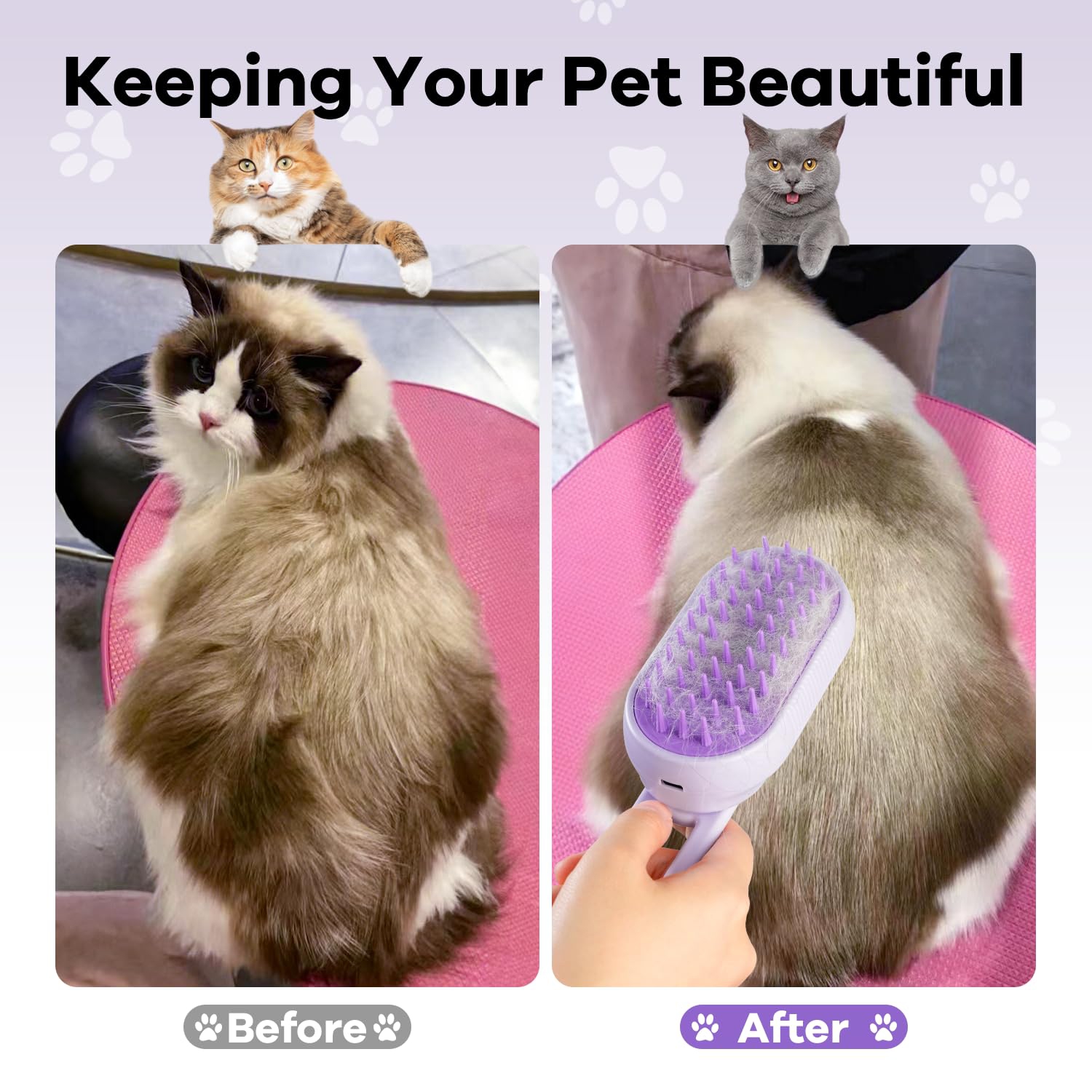 Brosse à vapeur Cat pour le revêtement, brosses à vapeur avec poignée pliable pour chats, peigne Defur pour chats, brosse à eau pour chat, peigne