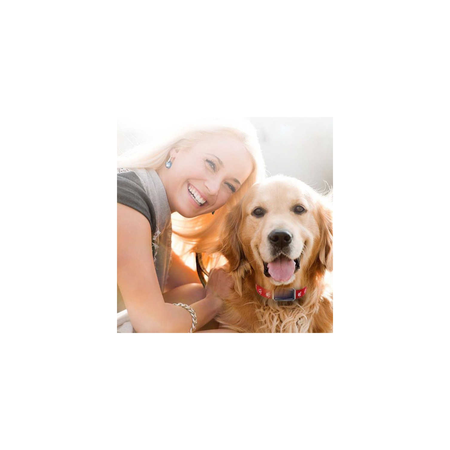 Pet Locator GPS Tracker Cat and Dog Anti-lost Tracking Collar Waterproof Beidou Hound Monitor Removable Anti-lost Collar GPS Tracker, Fully