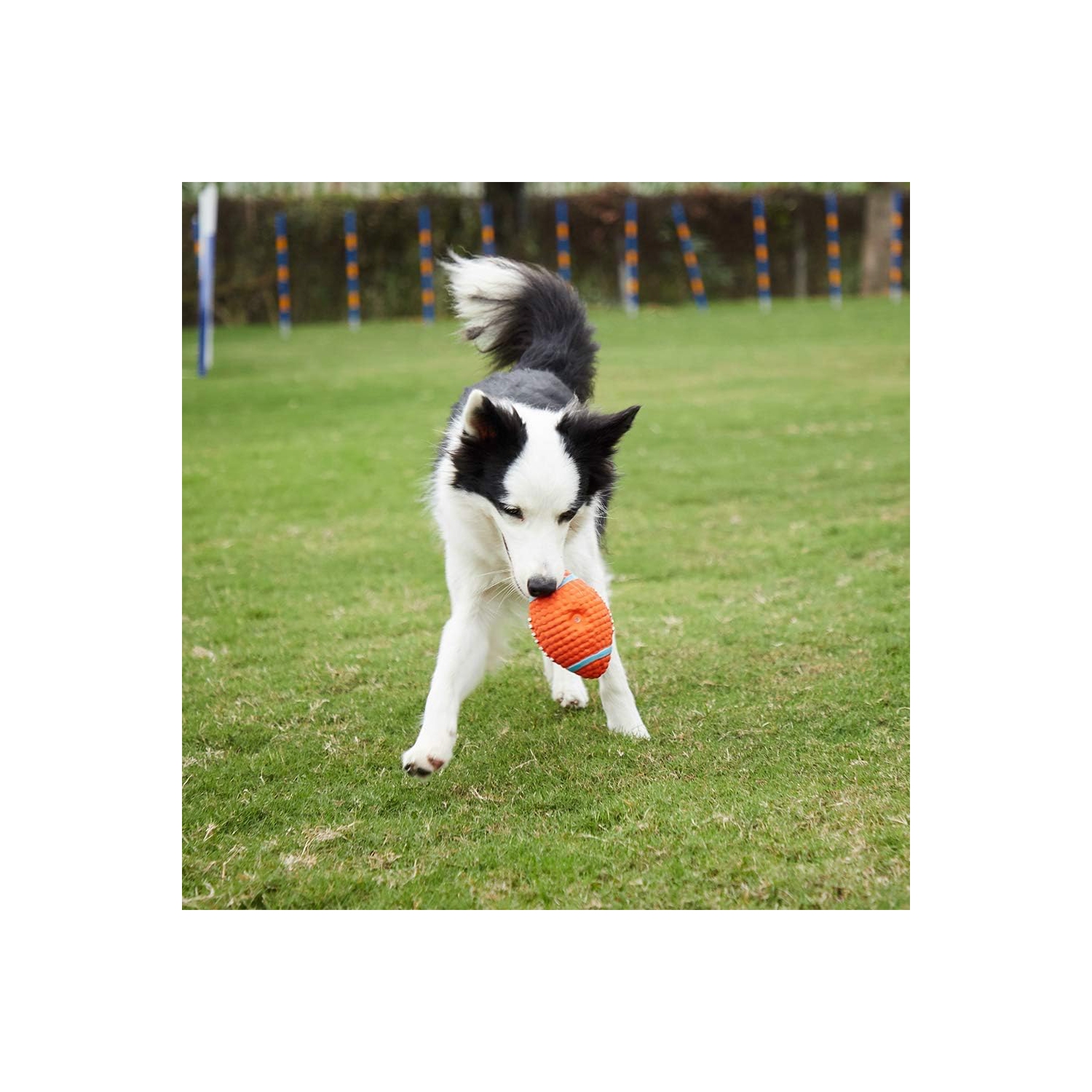Squeaky Dog Chew Toy for Interactive Training, Fetching and Playing, Orange Football -
