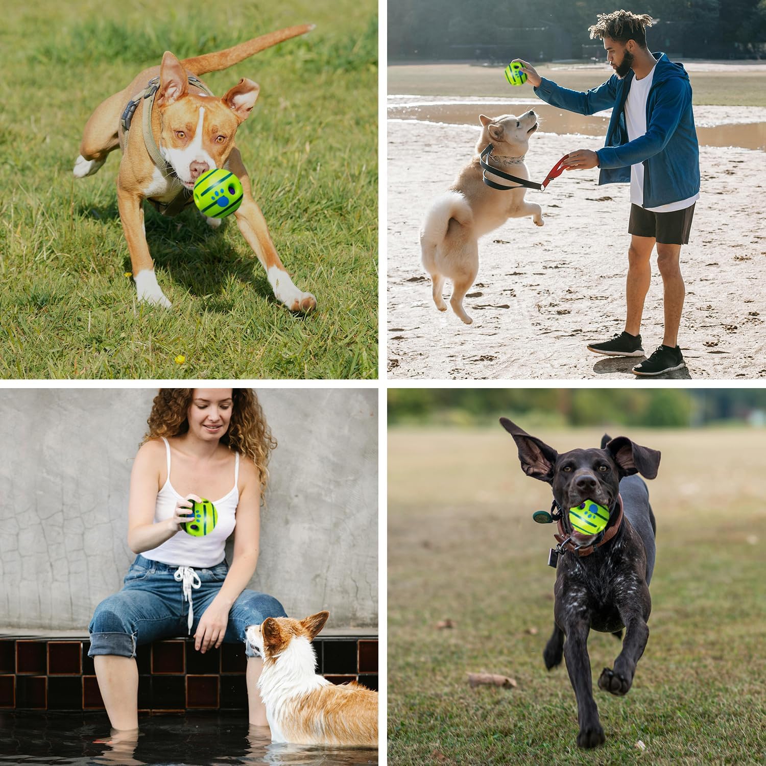 Dog Sniffing Ball - Food Leaking Toy Automatic Rotating Interactive Training Ball Suitable for Medium and Large Dogs Such as Golden Retriever/Border