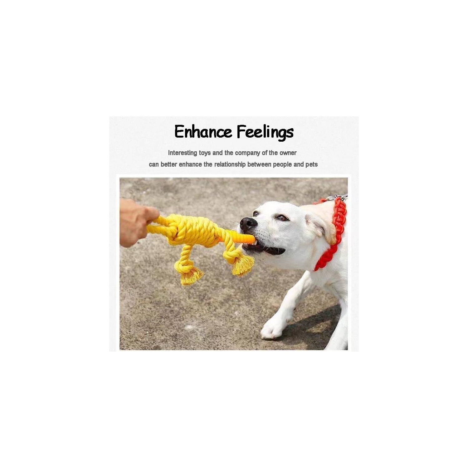 Suitable for medium-sized dog toys, carrot knotted cotton rope dumbbell puppy cleaning toy durable braided bite-resistant pet supplies - carrot