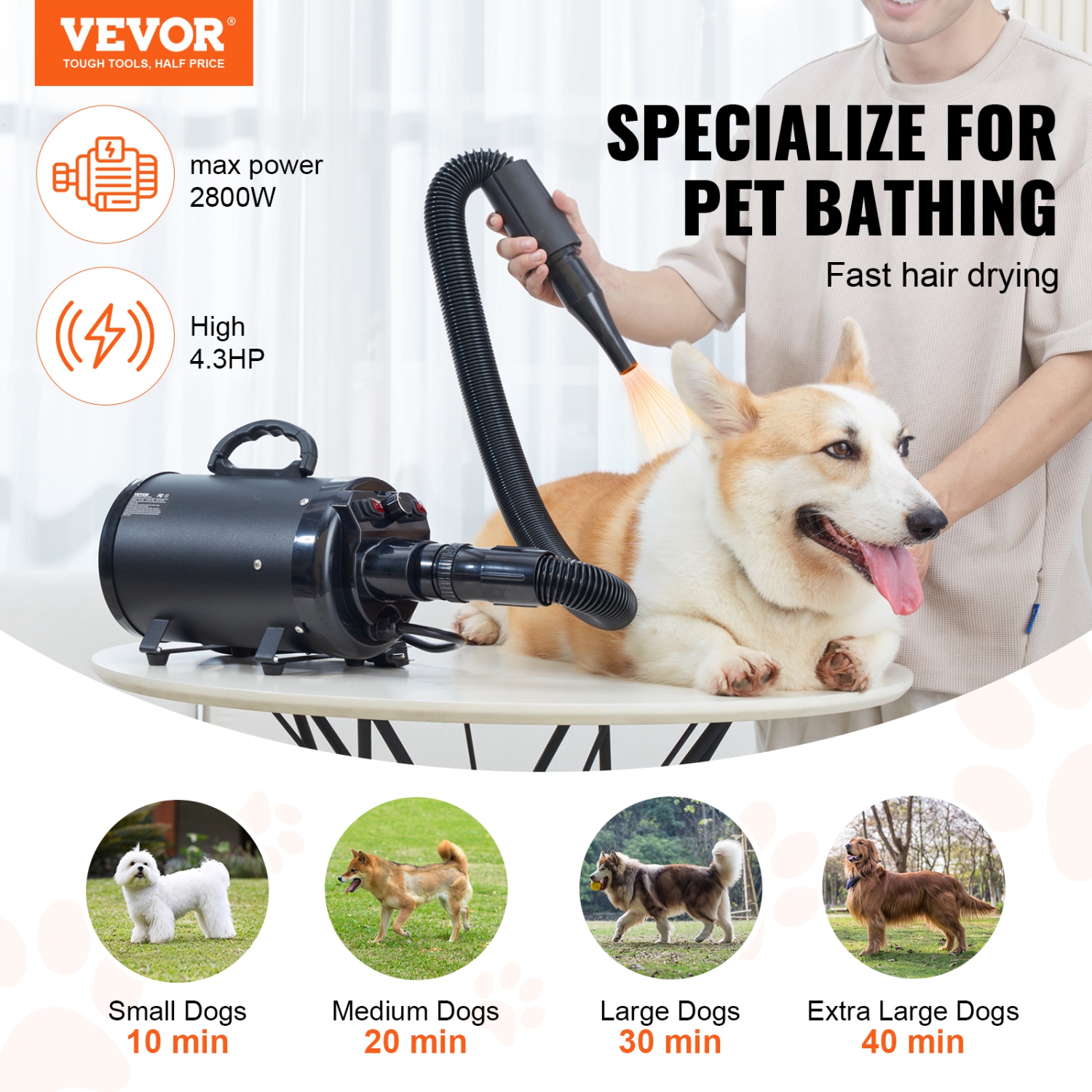 VEVOR 2000W/2.7HP Dog Dryer, Dog Blow Dryer, Pet Grooming Dryer with Adjustable Speed and Temperature Control, Pet Hair Dryer with 4 Nozzles and