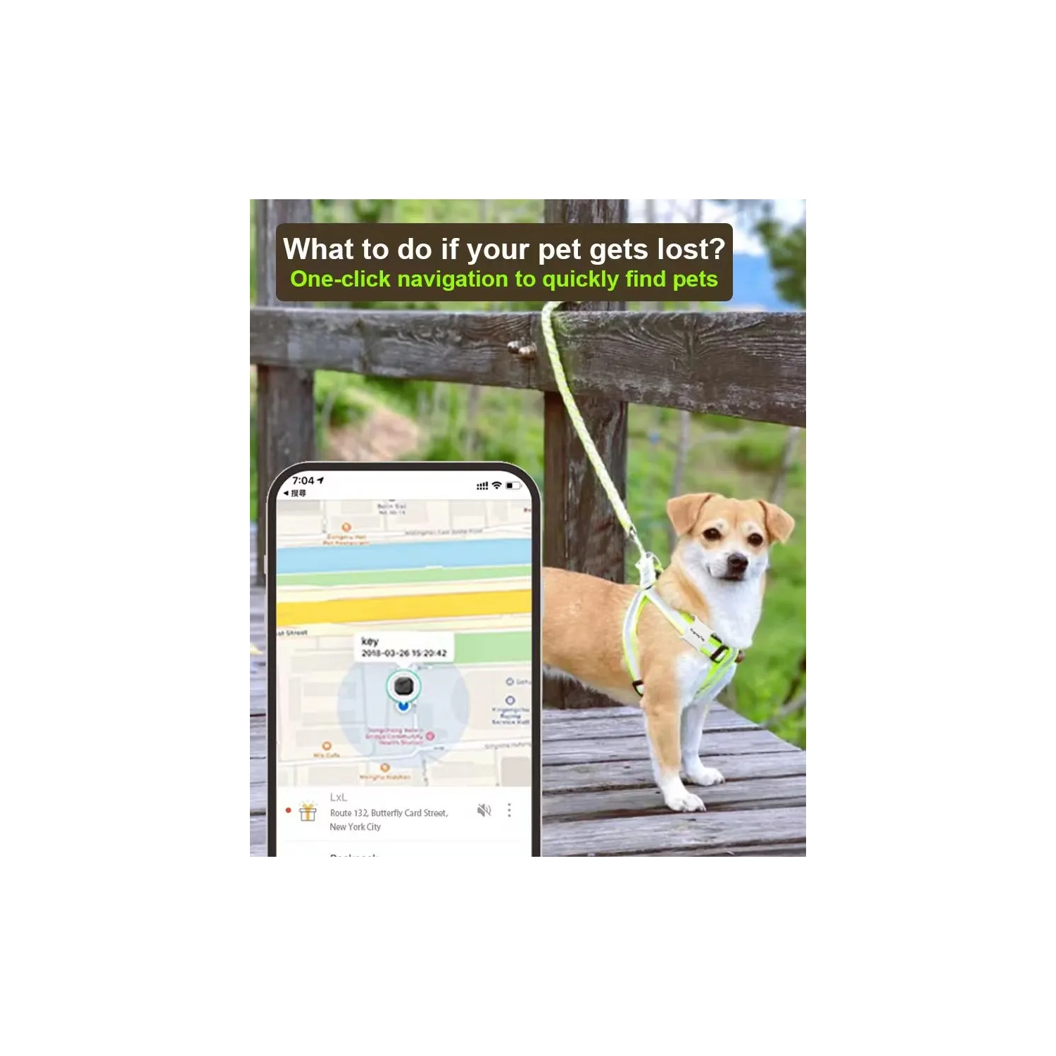 Localisateur d'animaux de compagnie à positionnement mondial, dispositif de suivi universel pour chats et chiens Android iOS, dispositif de suivi