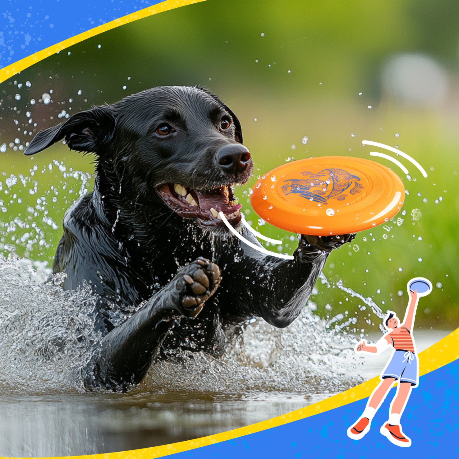 Wham-O Frisbee Go 2 Pack Flying Disc, 9 Inch Lightweight Toy Set for ...