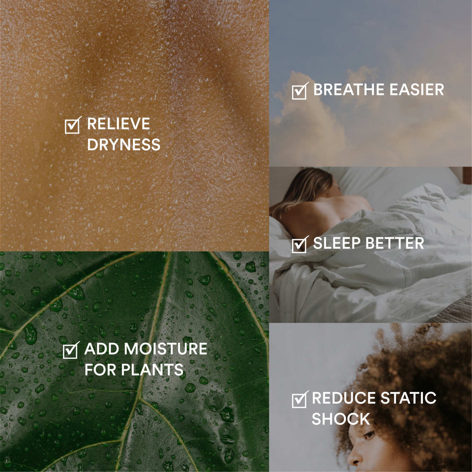 Humidificateur ultrasonique à vapeur chaude et froide Nature de HoMedics – Autonomie de 60 heures