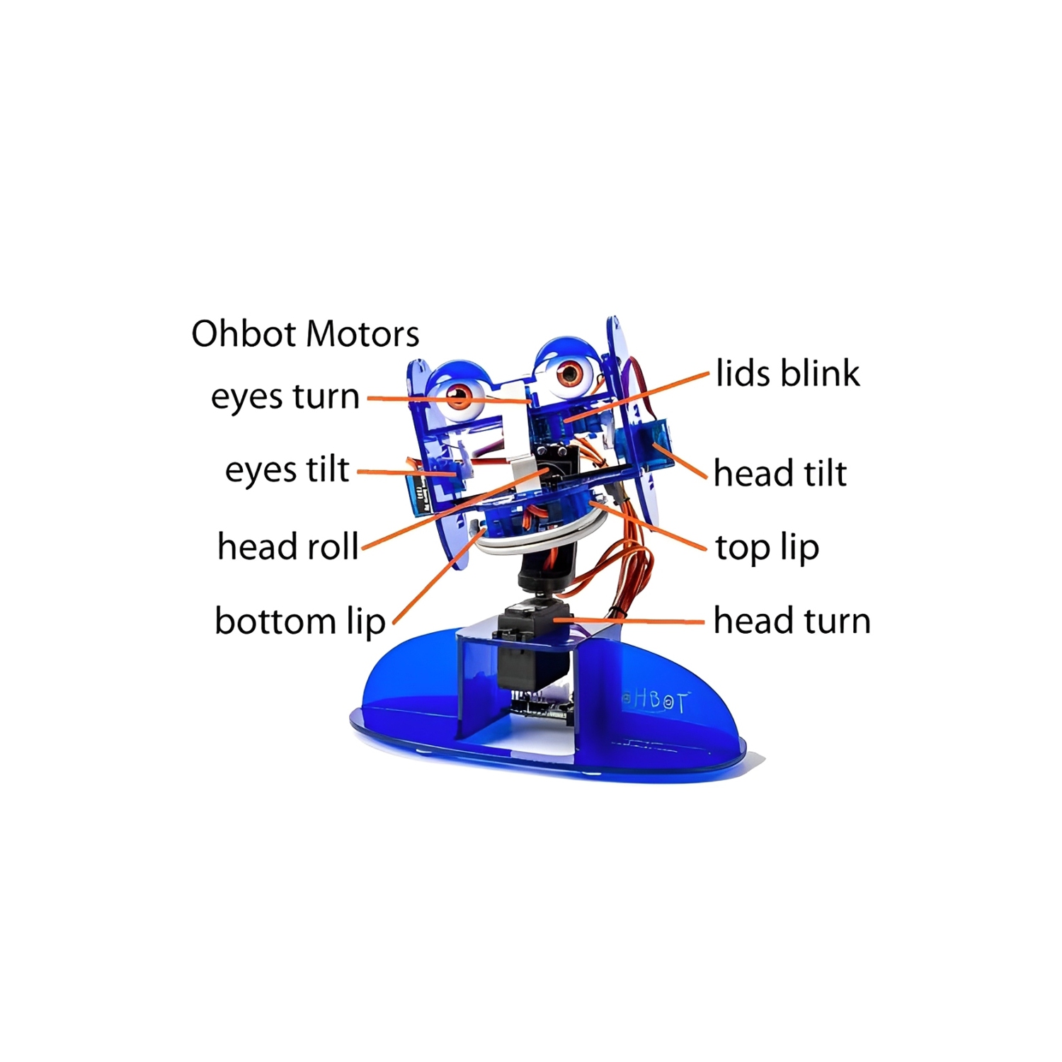 Ohbot 2.2 Programmable Social Robot Kit - Assembled DIY Coding Robot with AI Support - STEM Educational Robotics for Kids Ages 7+
