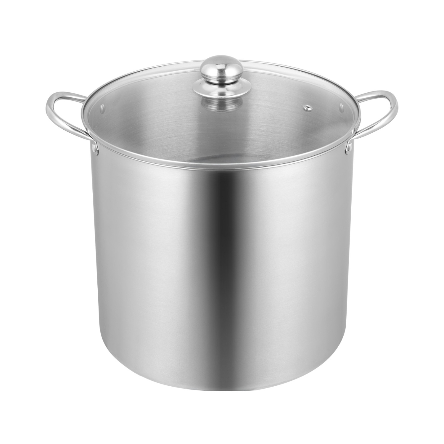 VEVOR 21 QT Canning Pot with Rack and Lid, Stainless Steel Waterbath Canner with Dual Handle and Glass Lid, Compatible with All Cooktops: Induction,