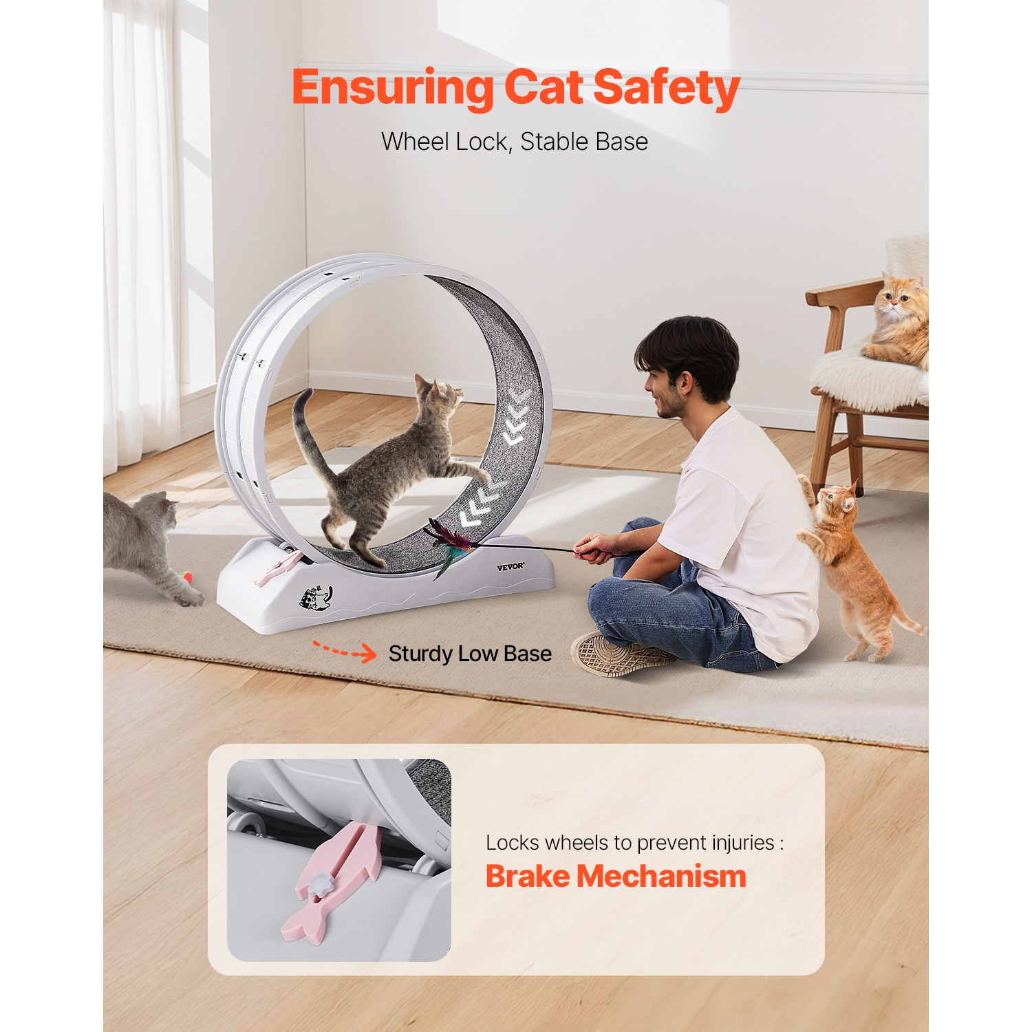 VEVOR 31.5 in Cat Exercise Wheel, Large Running Wheel with Secure Brake & Carpeted Runway, Quiet Operation Cat Treadmill, Indoor Exerciser for Pets