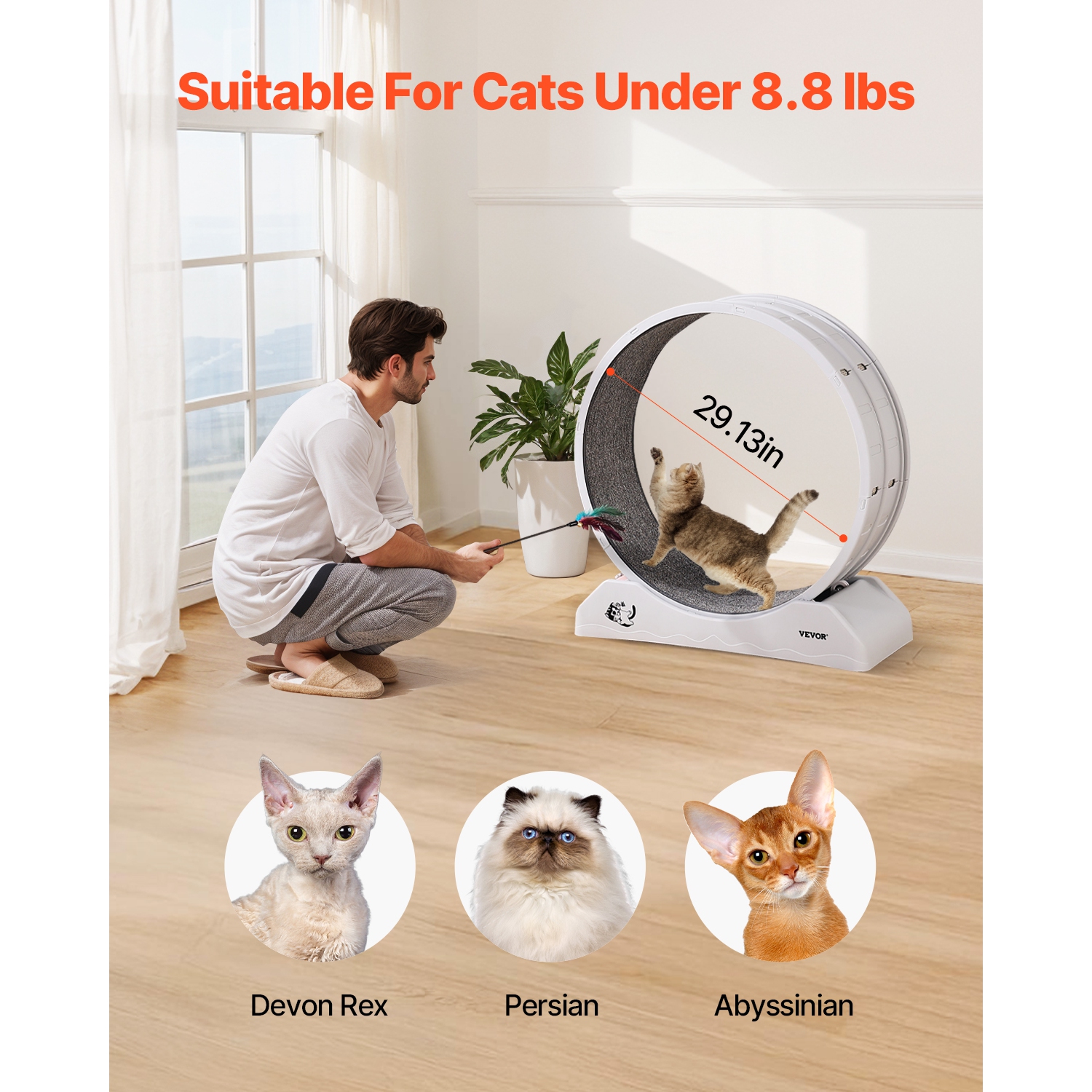 VEVOR 31.5 in Cat Exercise Wheel, Large Running Wheel with Secure Brake & Carpeted Runway, Quiet Operation Cat Treadmill, Indoor Exerciser for Pets