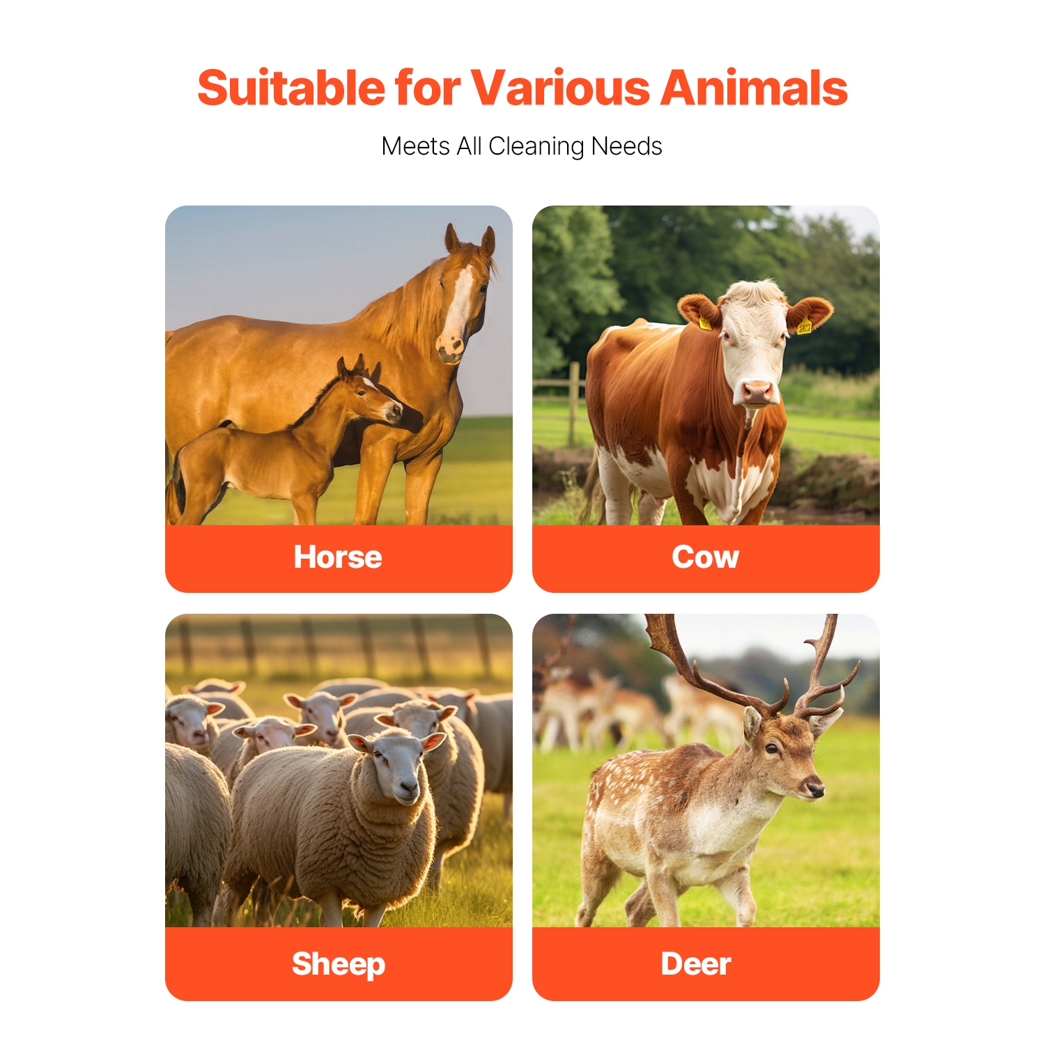 VEVOR 2 Pcs Livestock Scratching Brush, with 4 Screws, 17.1 x 7.5 in, for Back Itch Relief & Keep Cleaning, Grooming & Scratching Post Brush for