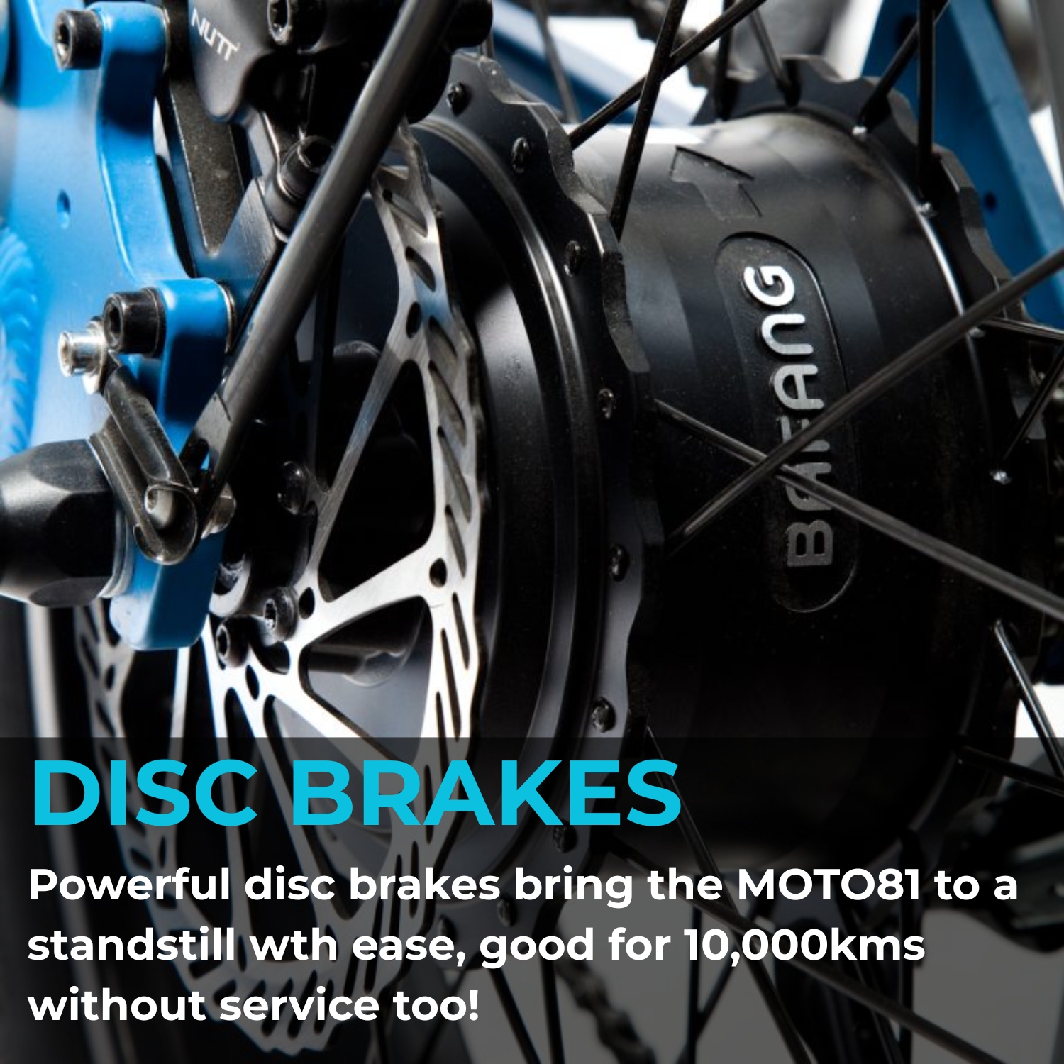 BlueRev Moto81 M-500 E-Bike |500W Motor Retro Electric Bike with Long Banana Seat|48V 17Ah Samsung Battery |50–70 km Range| Stylish Ride for Two with