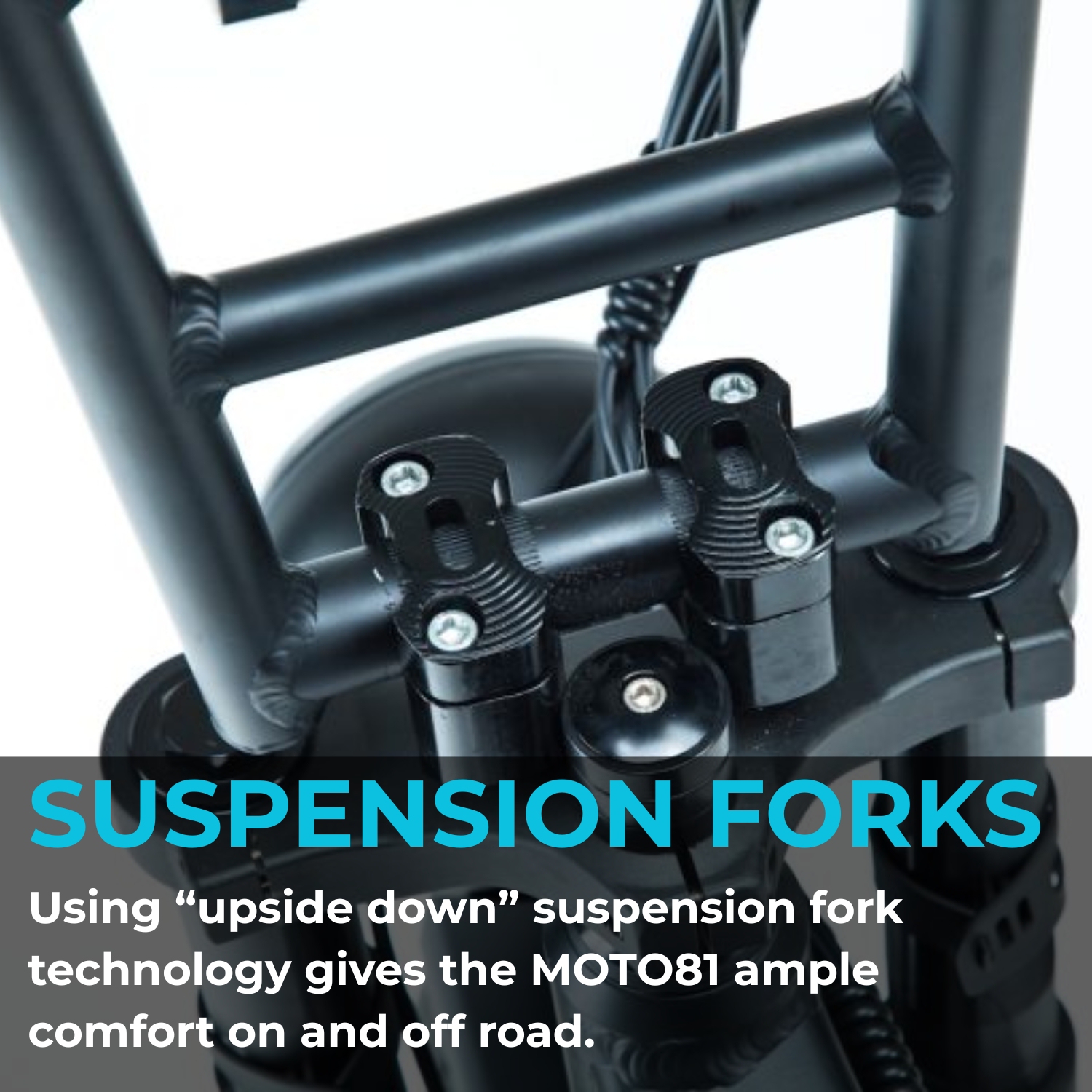 BlueRev Moto81 M-500 E-Bike |500W Motor Retro Electric Bike with Long Banana Seat|48V 17Ah Samsung Battery |50–70 km Range| Stylish Ride for Two with