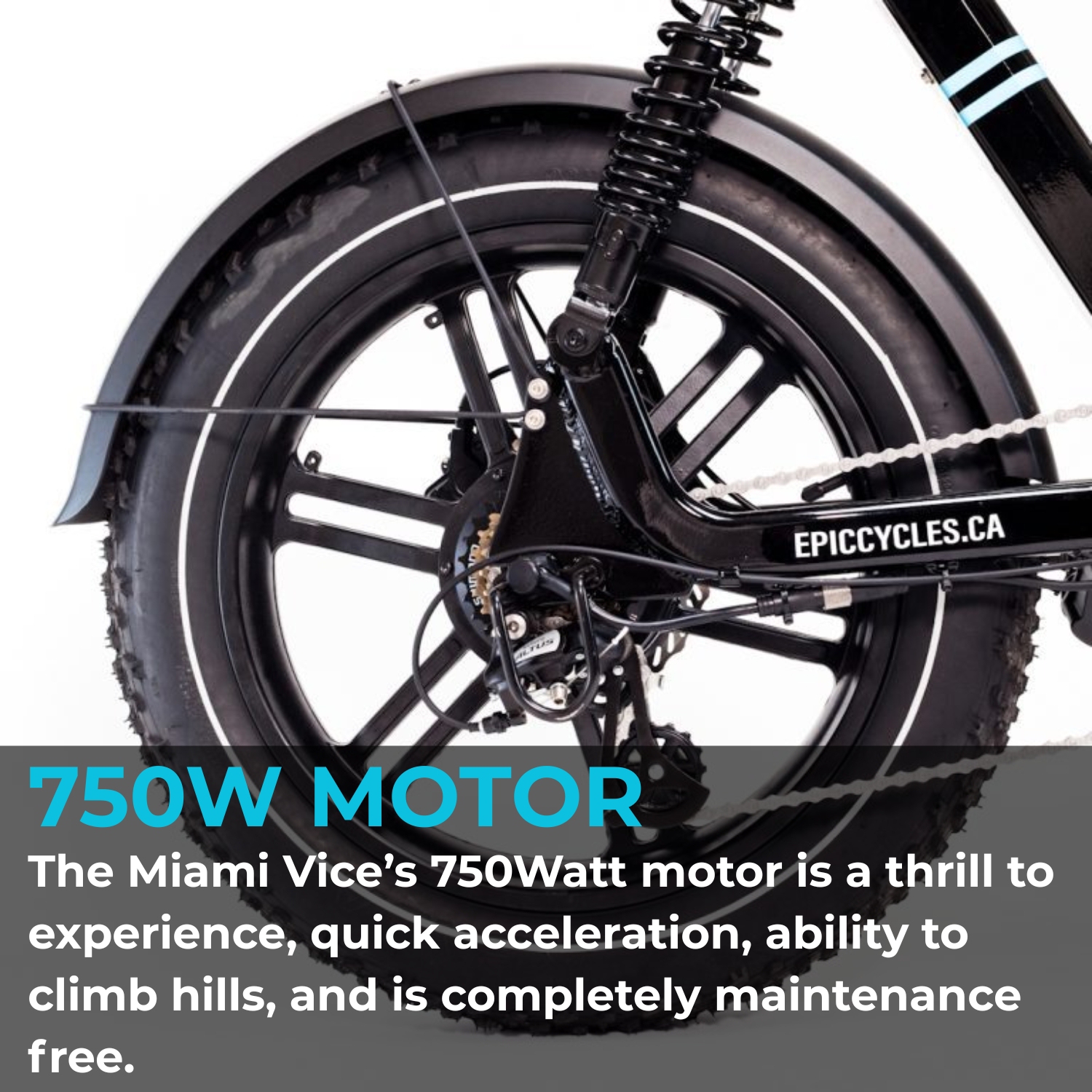 BlueRev Miami Vice E-Bike|Powerful 750W Motor Moped-Style Electric Bike with 48V 14Ah Samsung Battery|Dual Suspension & Hydraulic Disc Brakes| Fat