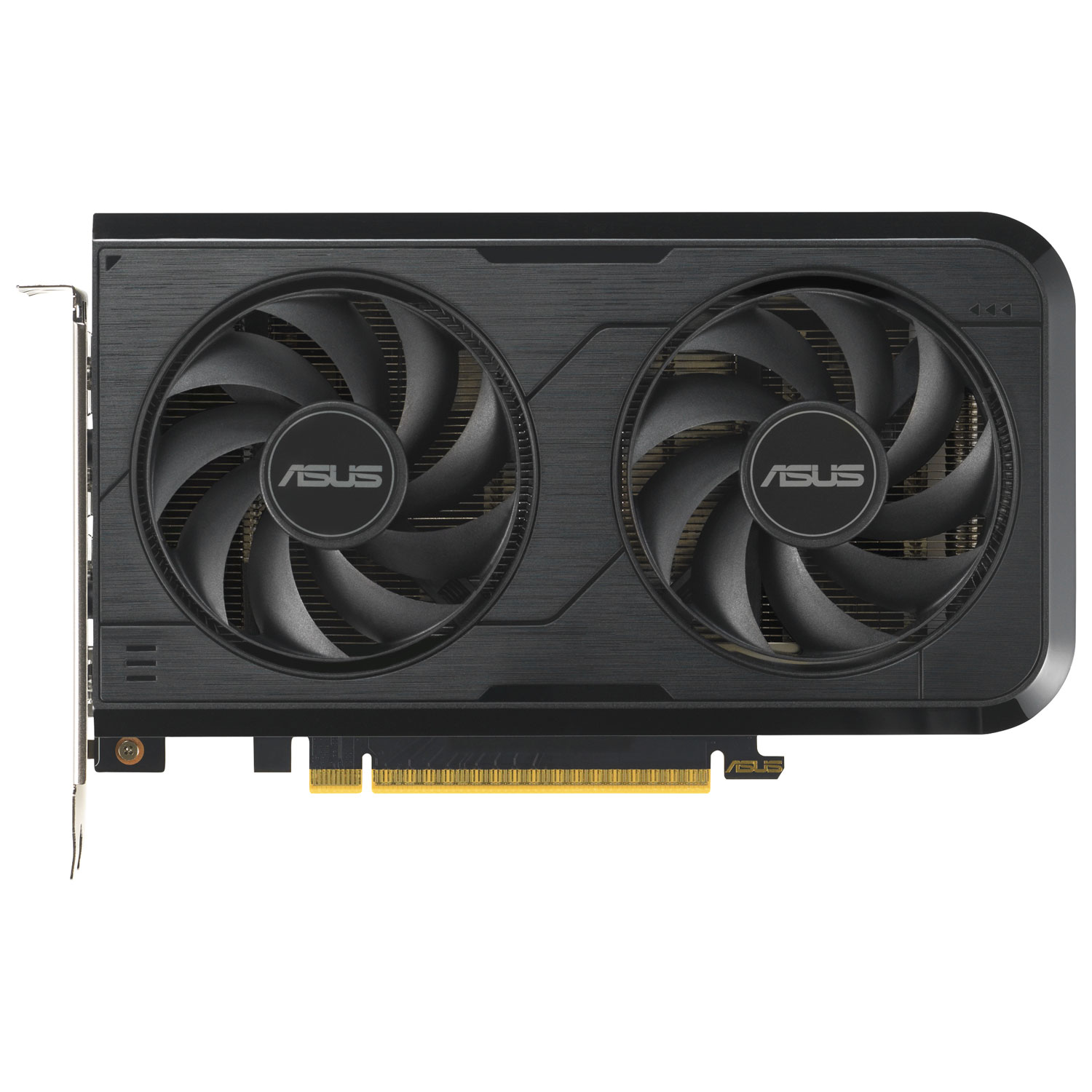 Carte graphique Dual GeForce RTX 5050 OC 8 Go GDDR6 d'ASUS