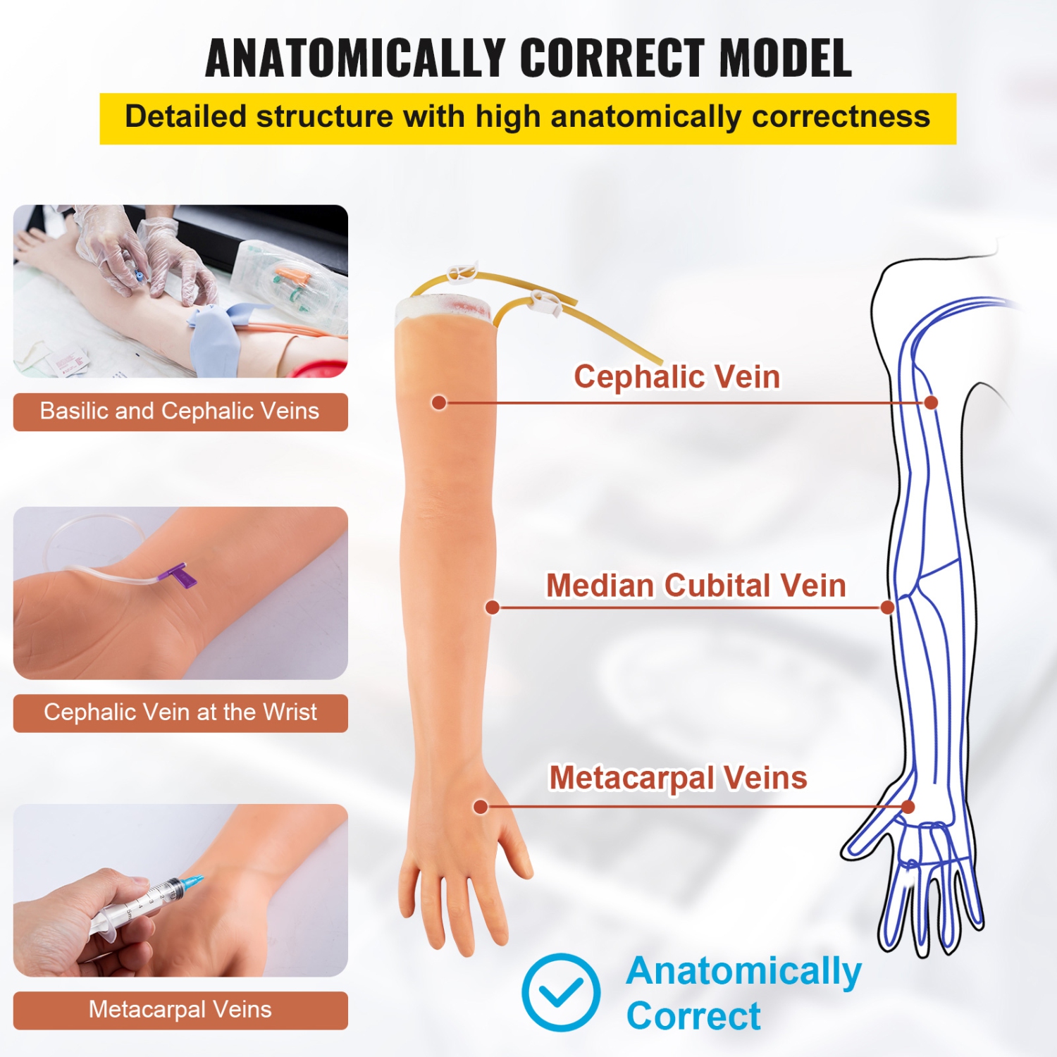 VEVOR Phlebotomy Practice Kit, IV Venipuncture Intravenous Training, High Simulation IV Practice Arm Kit with Carrying Bag, for Students Nurses and