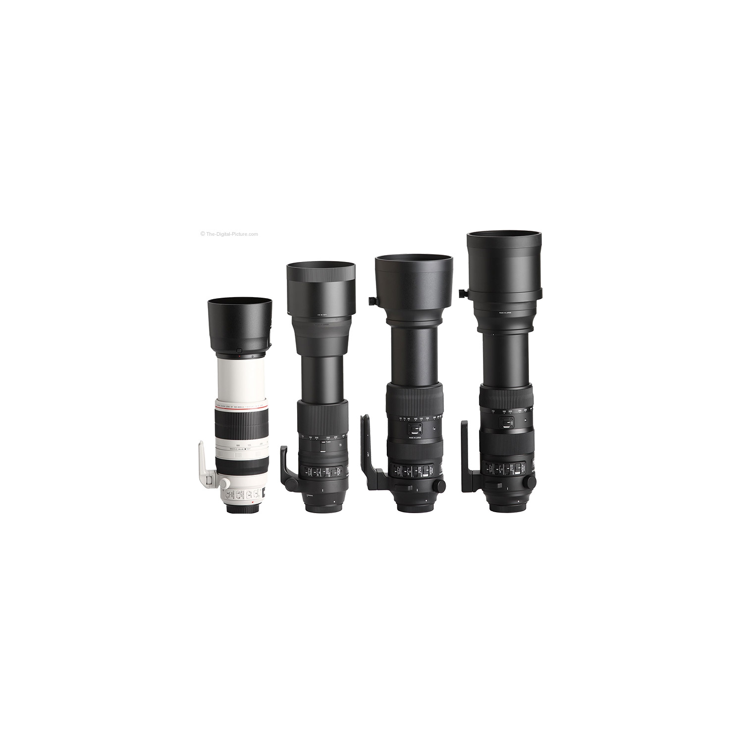 Sigma 60-600mm f/4.5-6.3 DG OS HSM Sports Lens for Nikon F for Nikon F Mount + Accessories (International Model with 2 Y