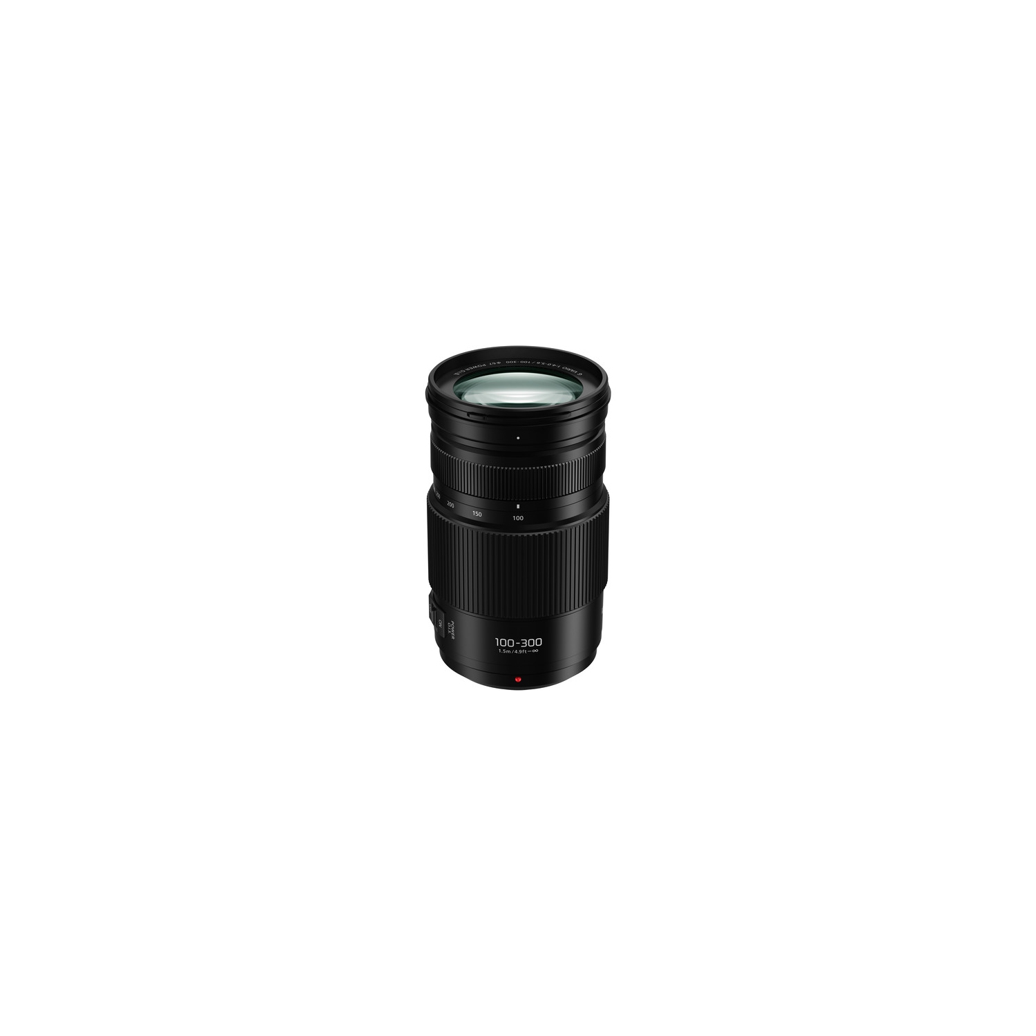 Panasonic Lumix G Vario 100-300mm f/4-5.6 II POWER O.I.S. Lens