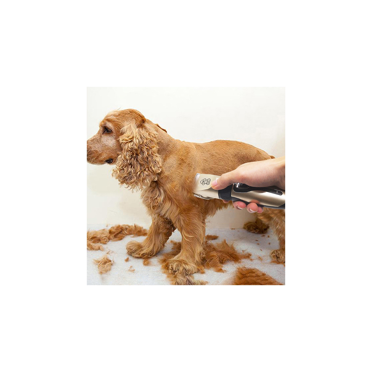 Pet electric hair clipper, dog hair trimmer, cat shaver and hair clipper, low noise electric pet trimmer, gold