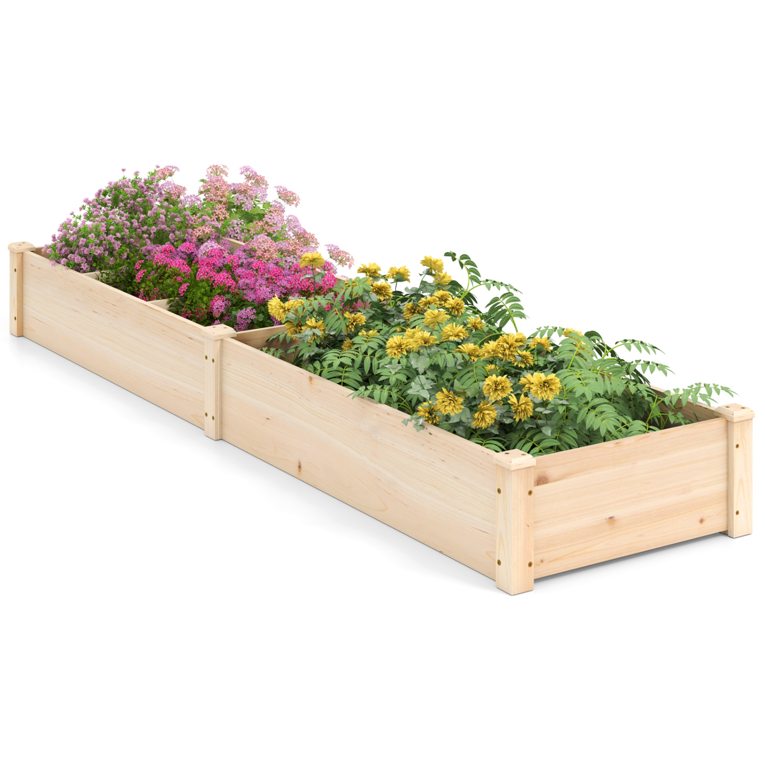 Gymax Wooden Raised Garden Bed w/ 2 Planter Boxes Divider Open-Ended Base for Flower