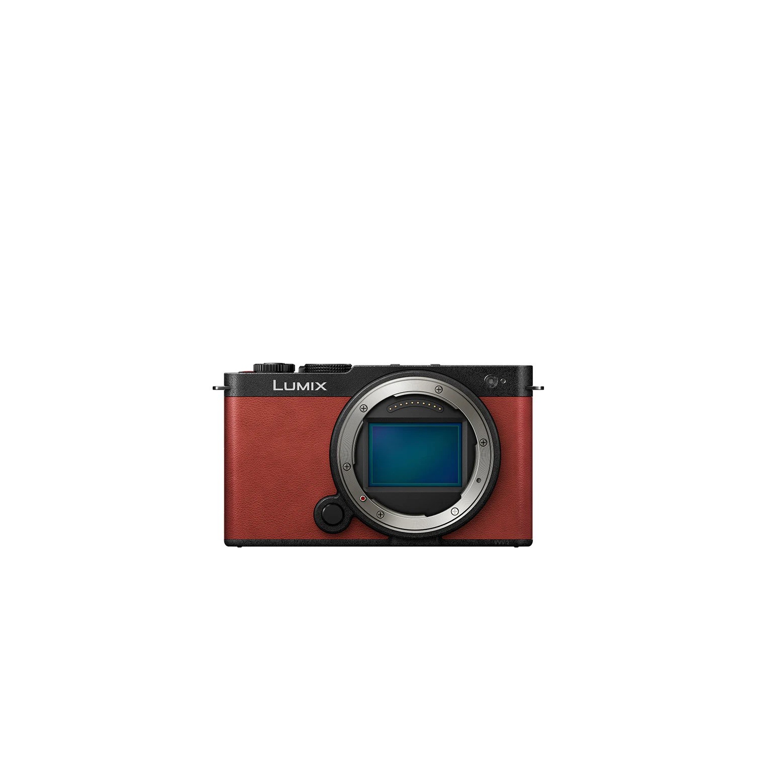 Panasonic Lumix S9 Mirrorless Camera Bundle with Accessories