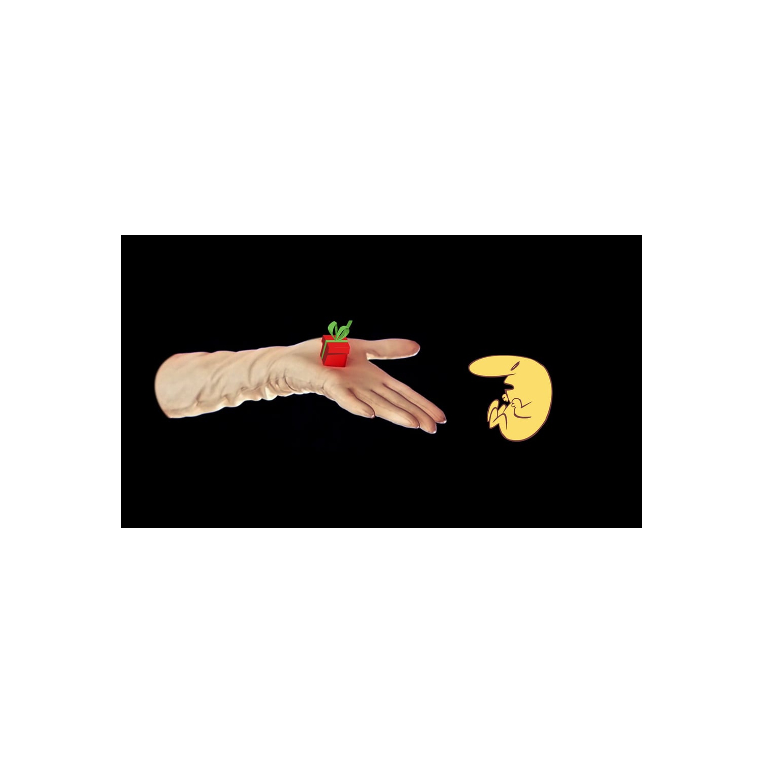 The Many Pieces of Mr. Coo - Fantabulous Edition [Nintendo Switch]