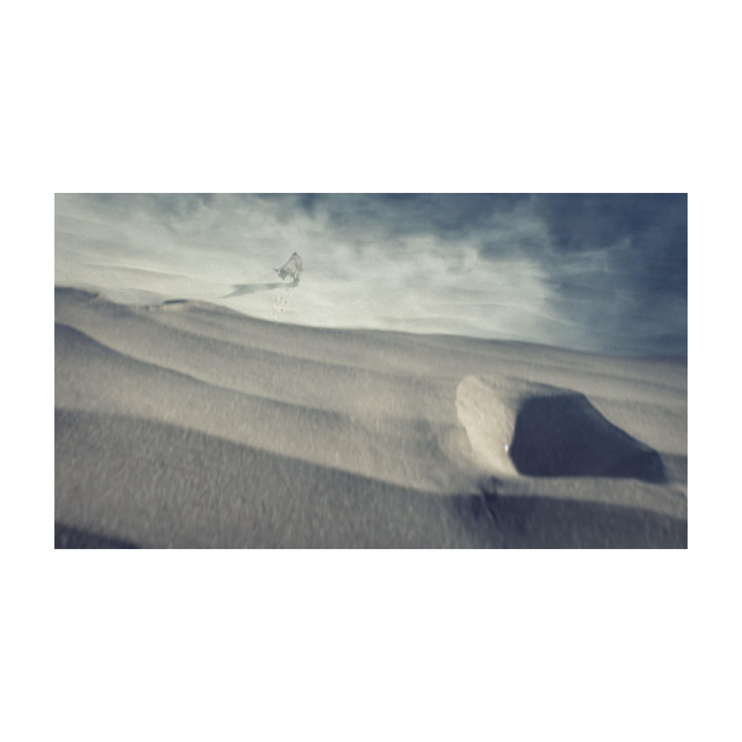 Halo 5: Guardians [Xbox One]