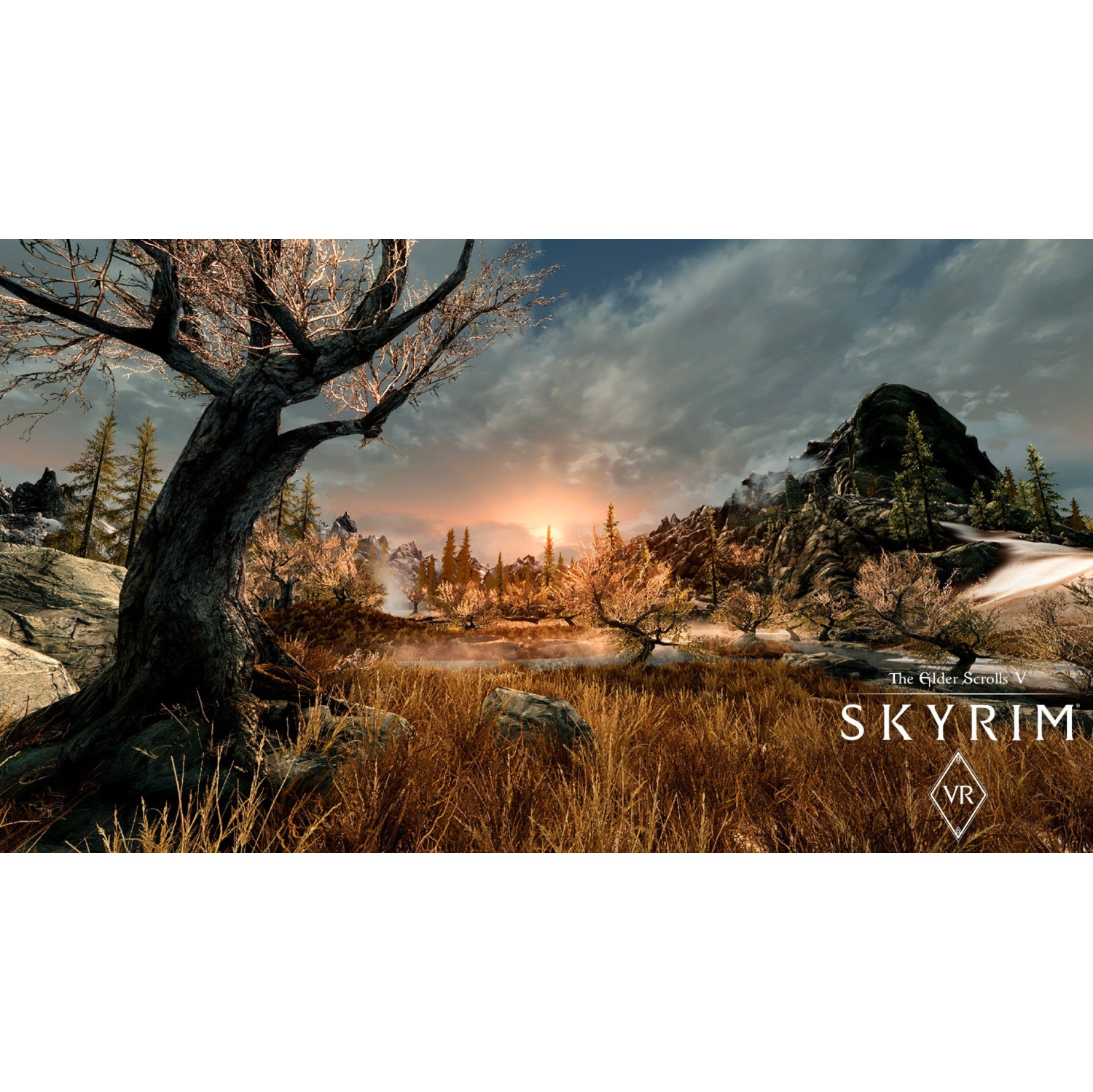 Le jeu The Elder Scrolls V: Skyrim VR - PSVR [PlayStation 4]